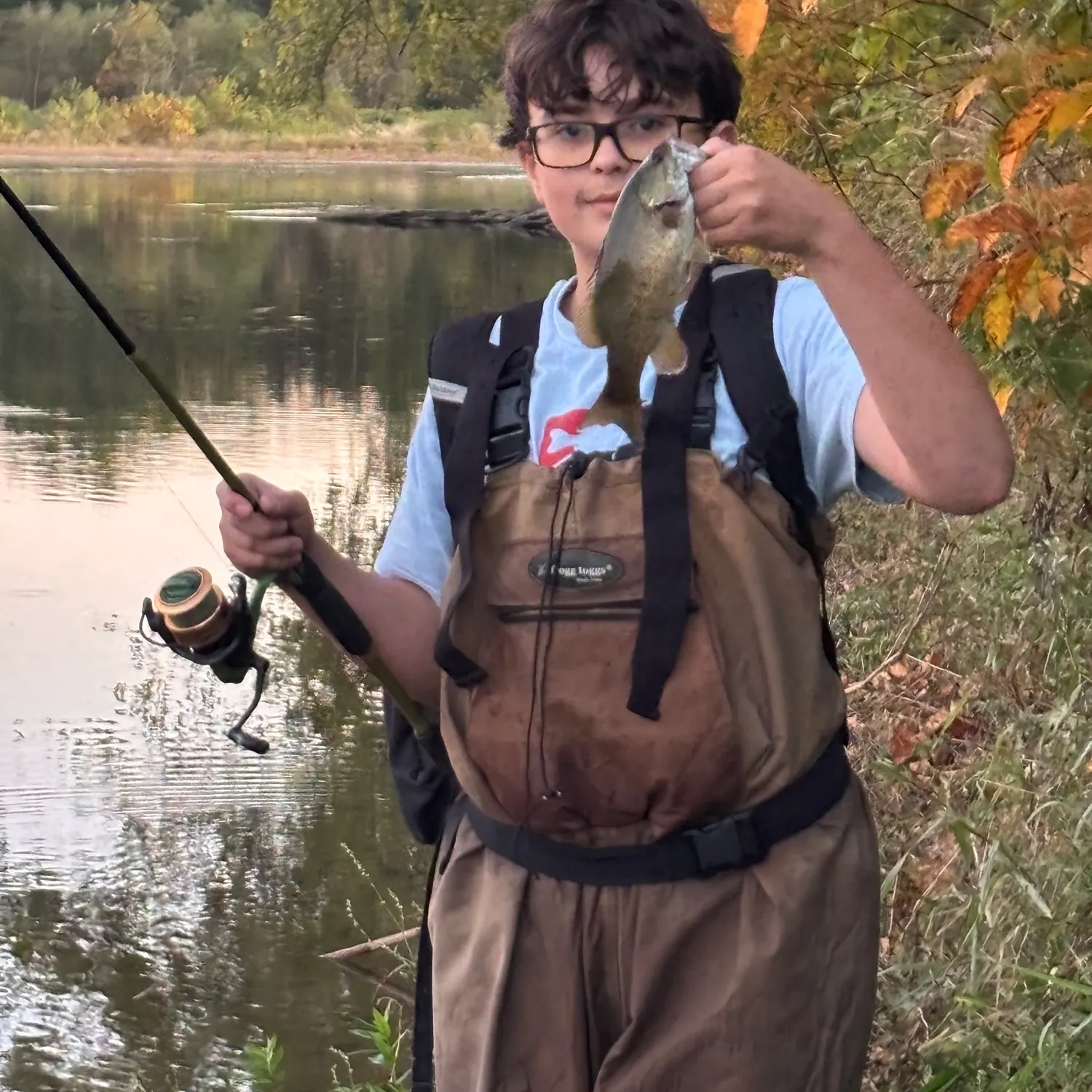 Smallmouth bass caught on Fishbrain