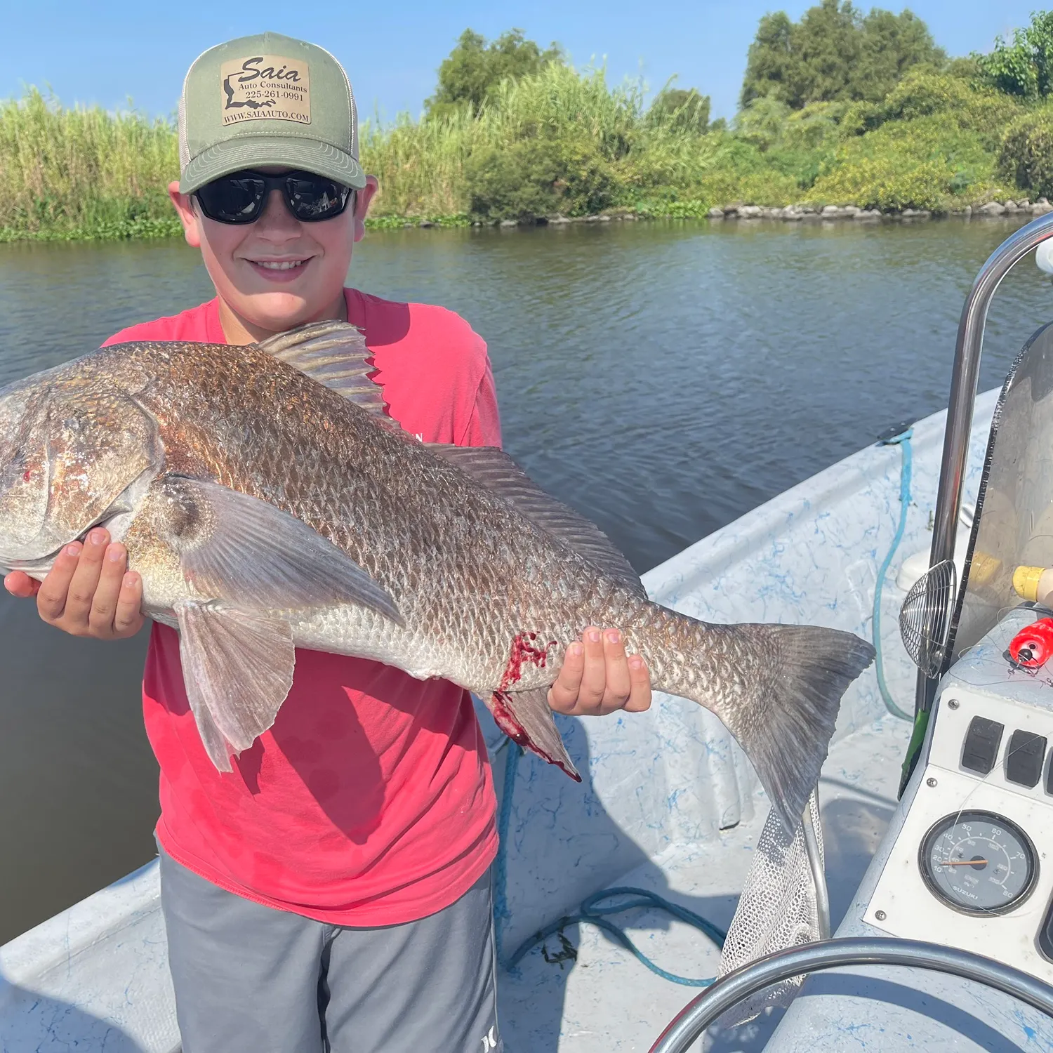 Black drum caught on Fishbrain