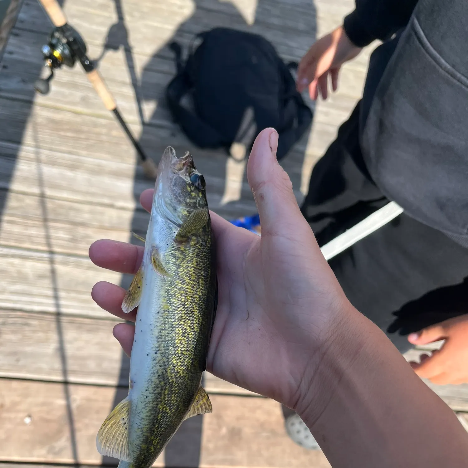 catch