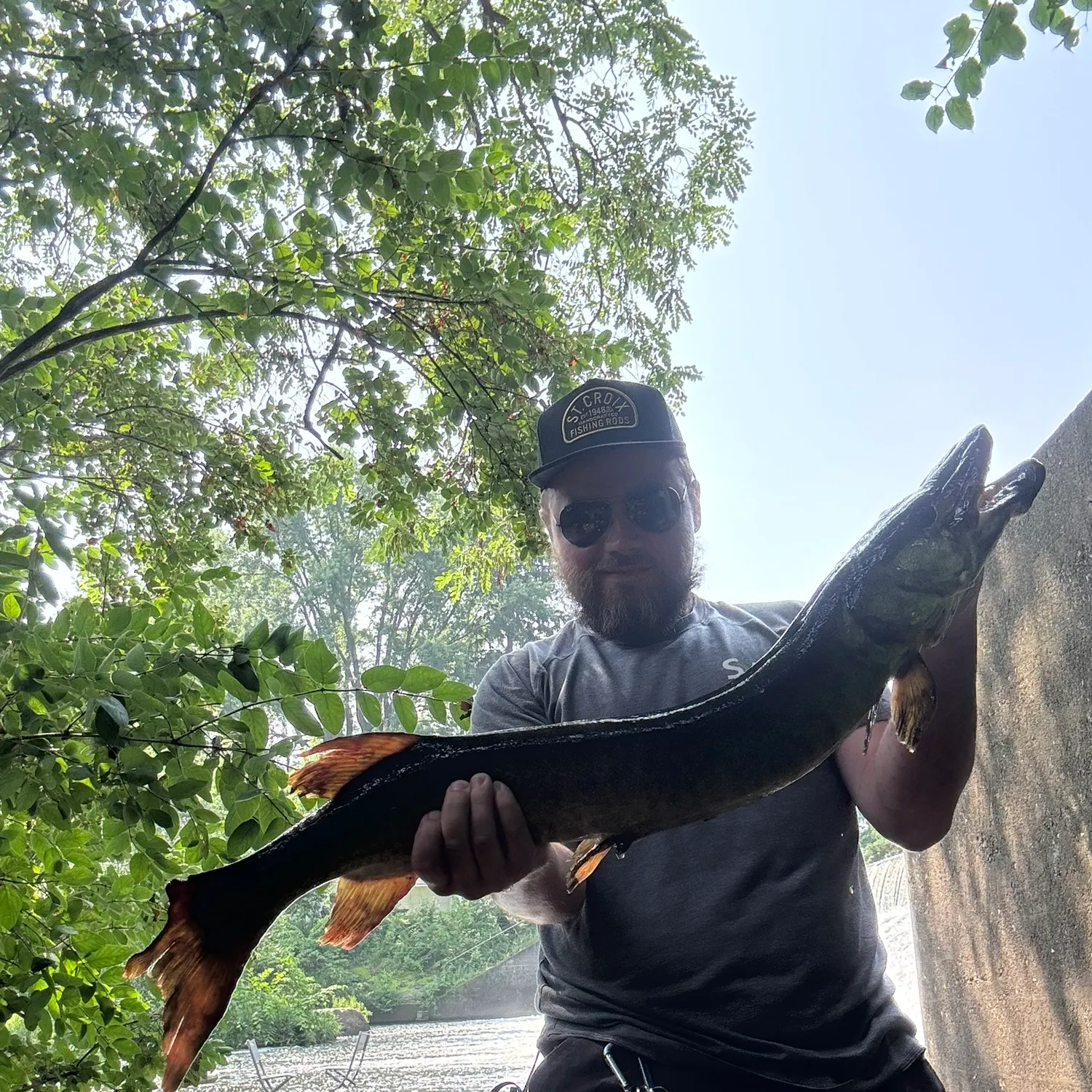 The most recent Muskellunge catches on Fishbrain