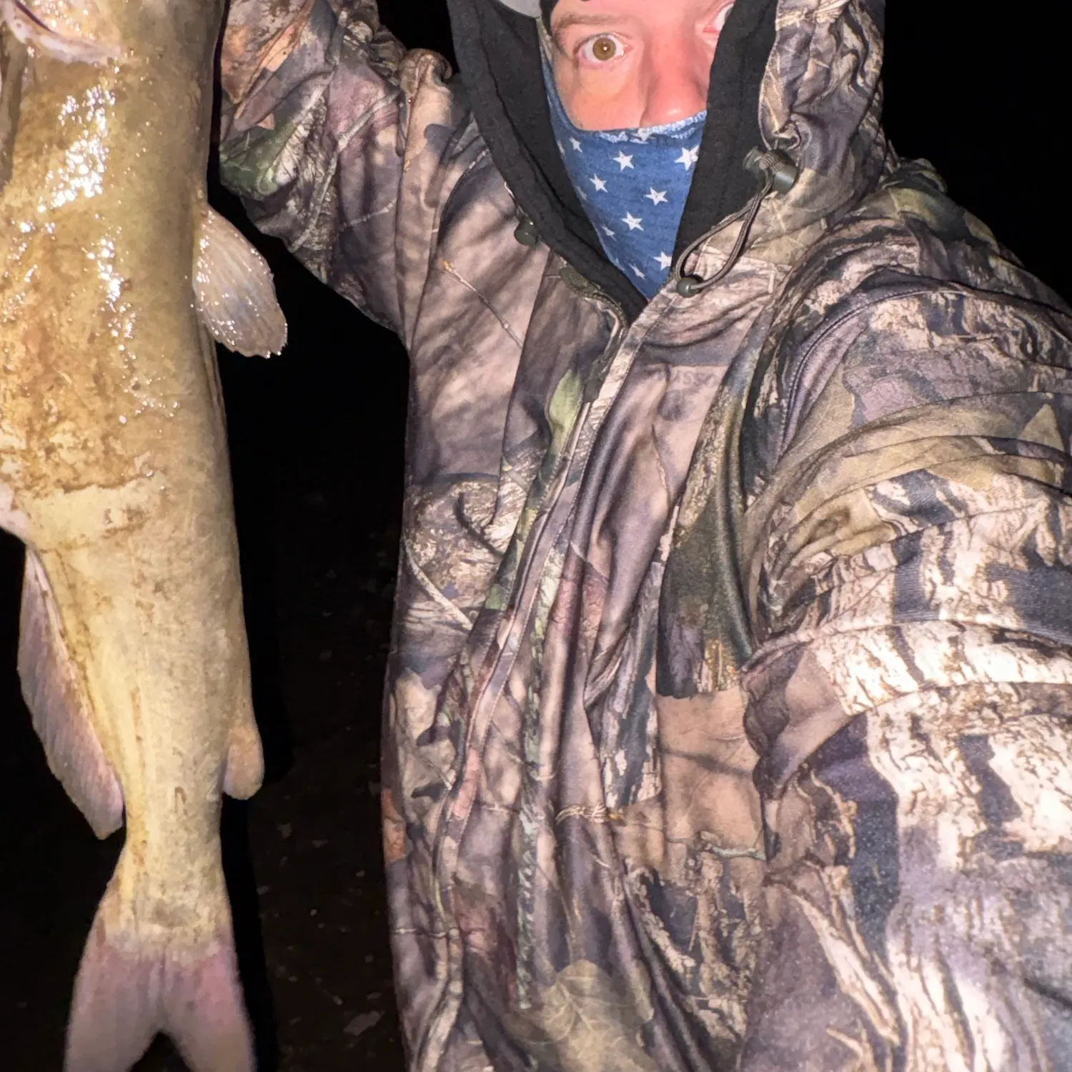 Channel catfish caught on Fishbrain