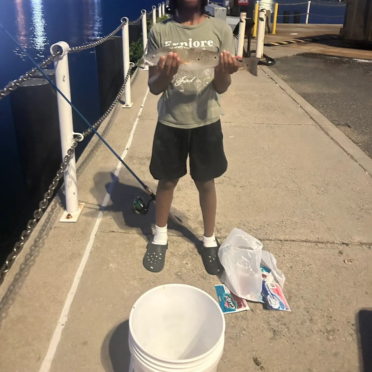 The most recent Red drum catches on Fishbrain