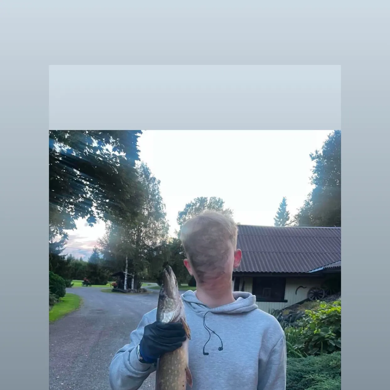 Northern pike caught on Fishbrain
