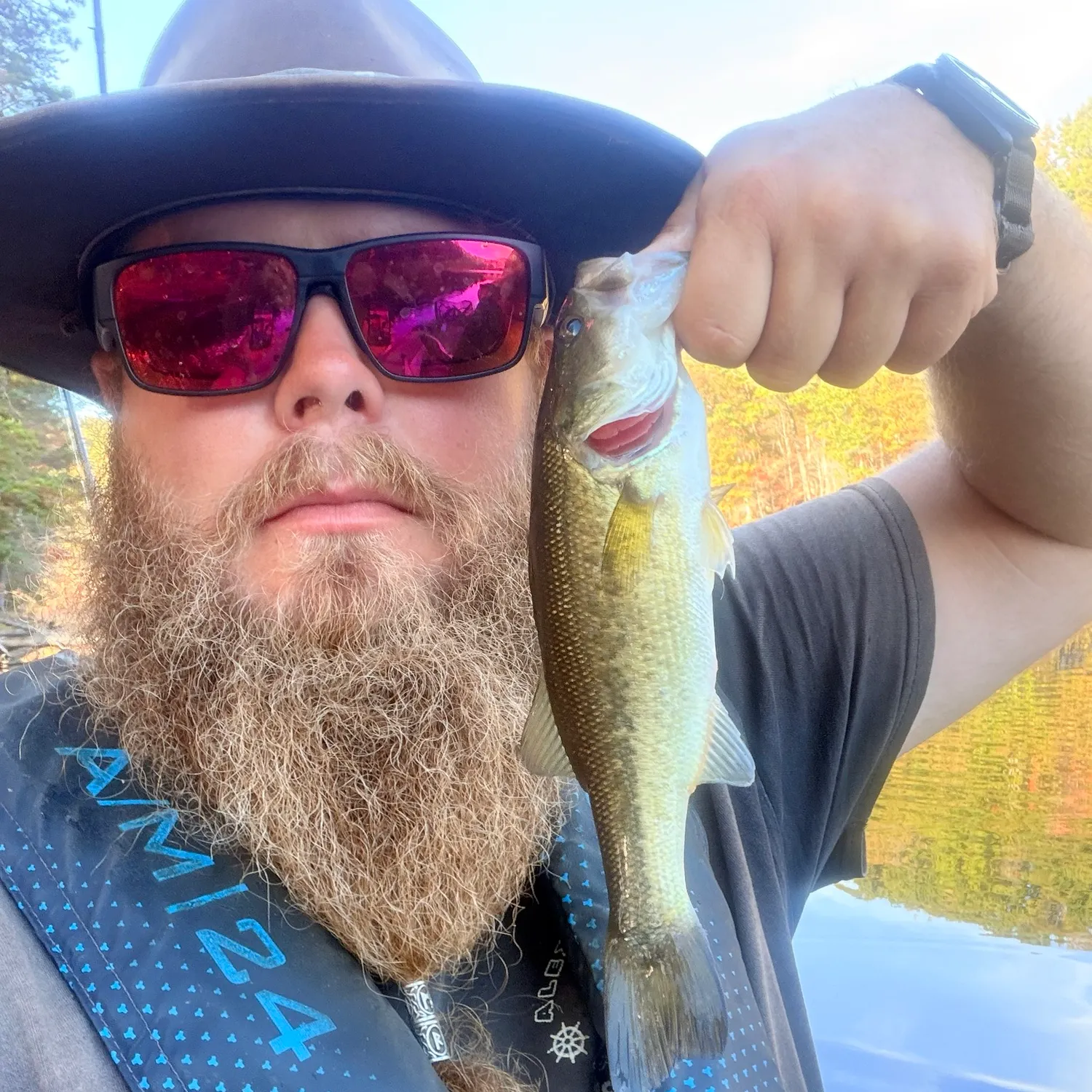 Largemouth bass caught on Fishbrain