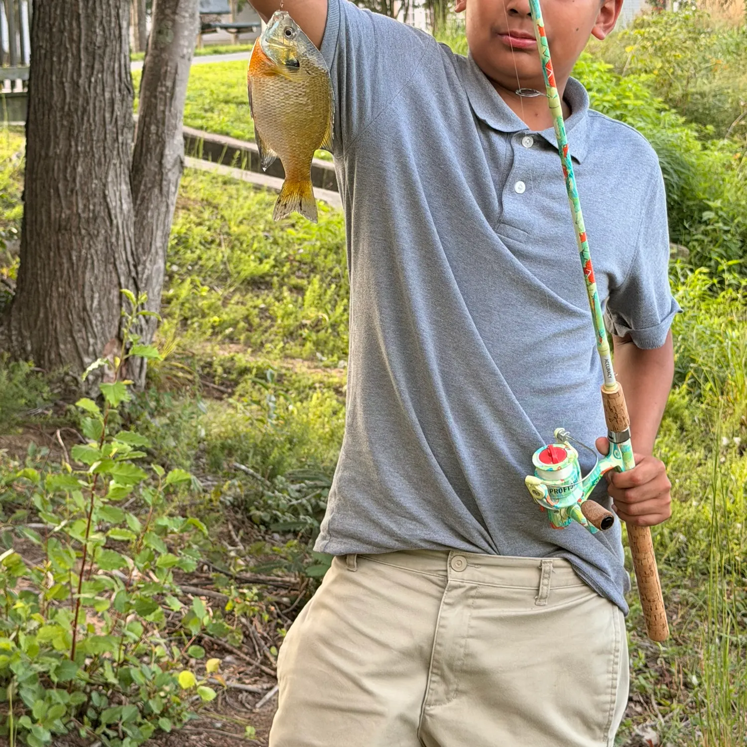 Bluegill caught on Fishbrain