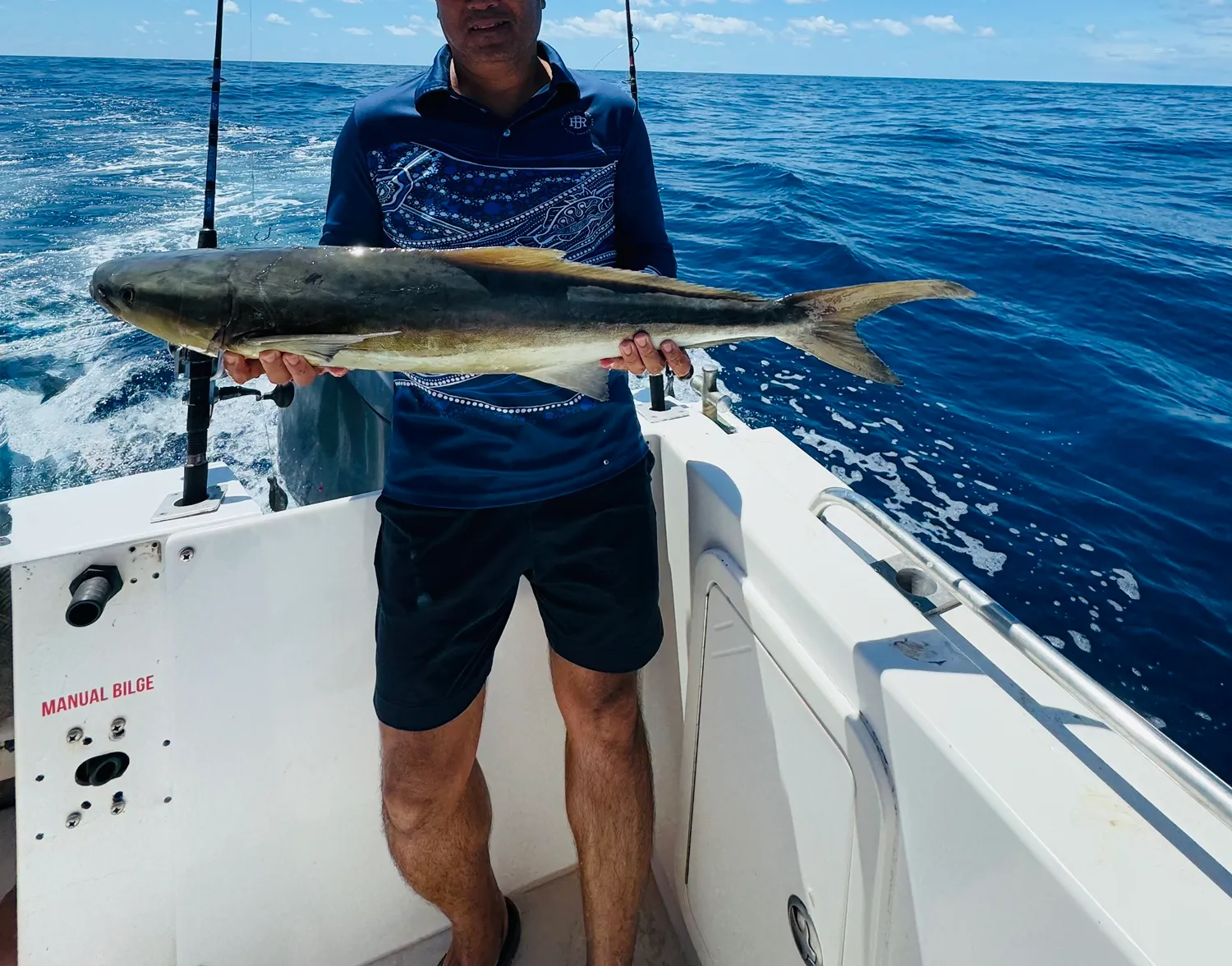 Cobia