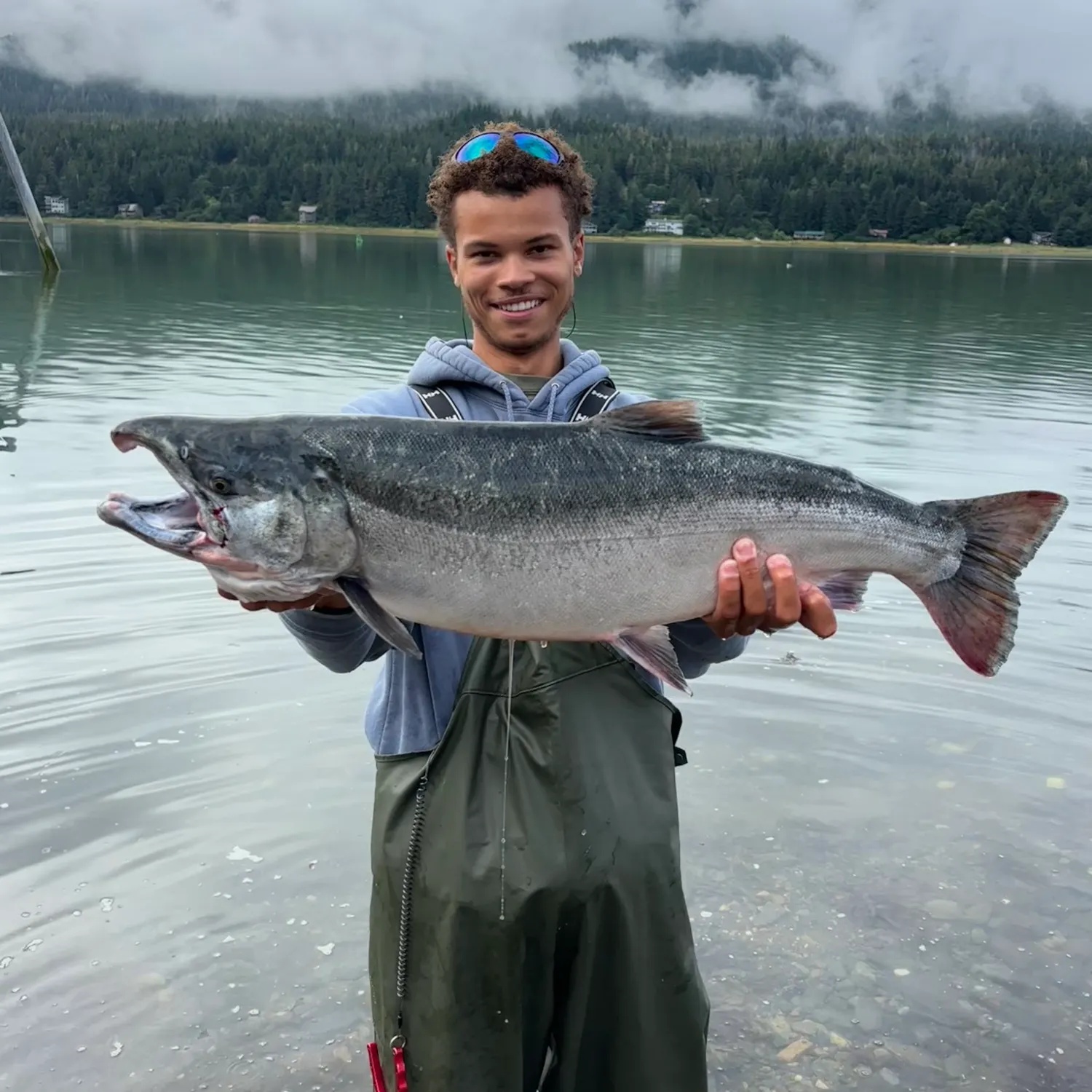 Coho salmon caught on Fishbrain