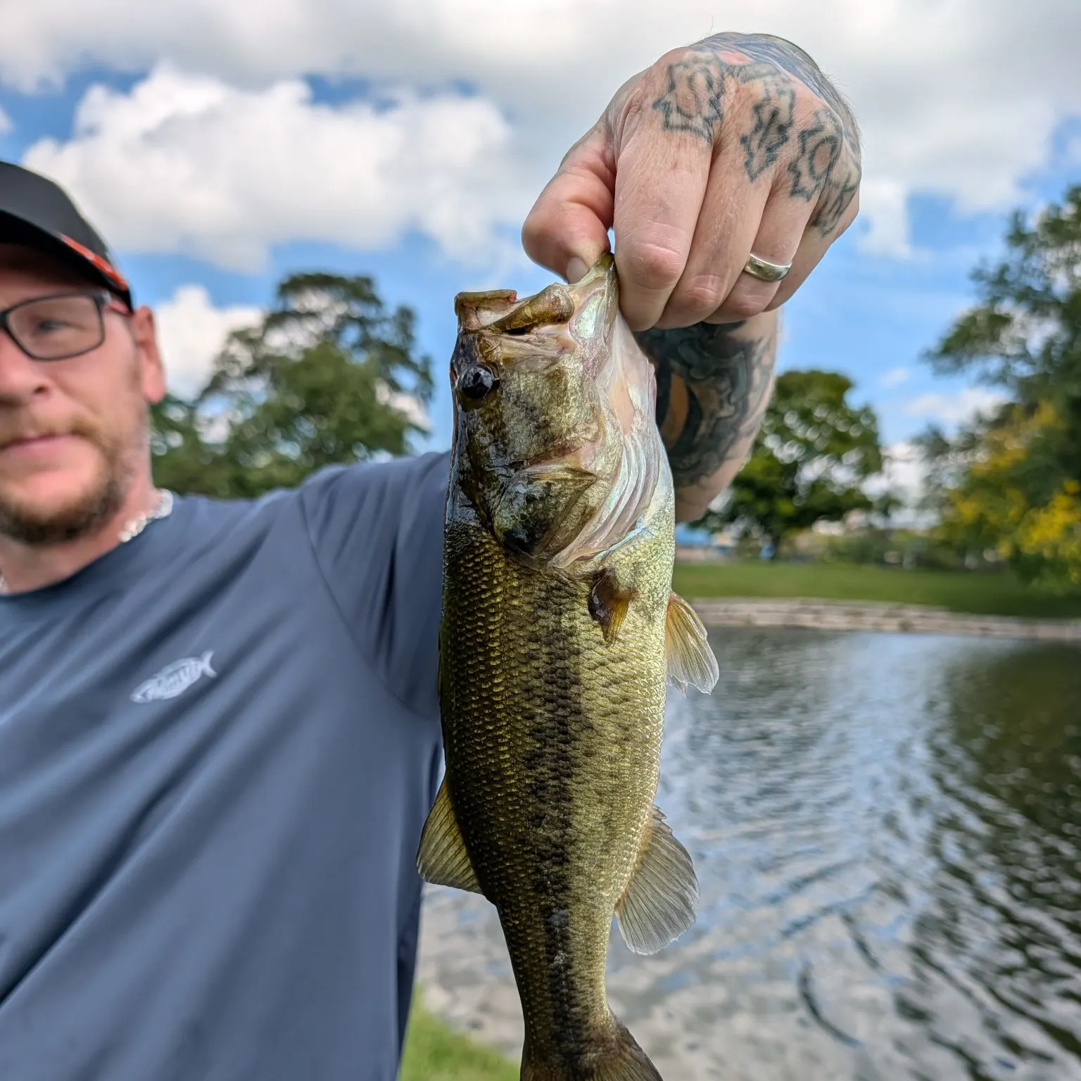 Largemouth bass caught on Fishbrain