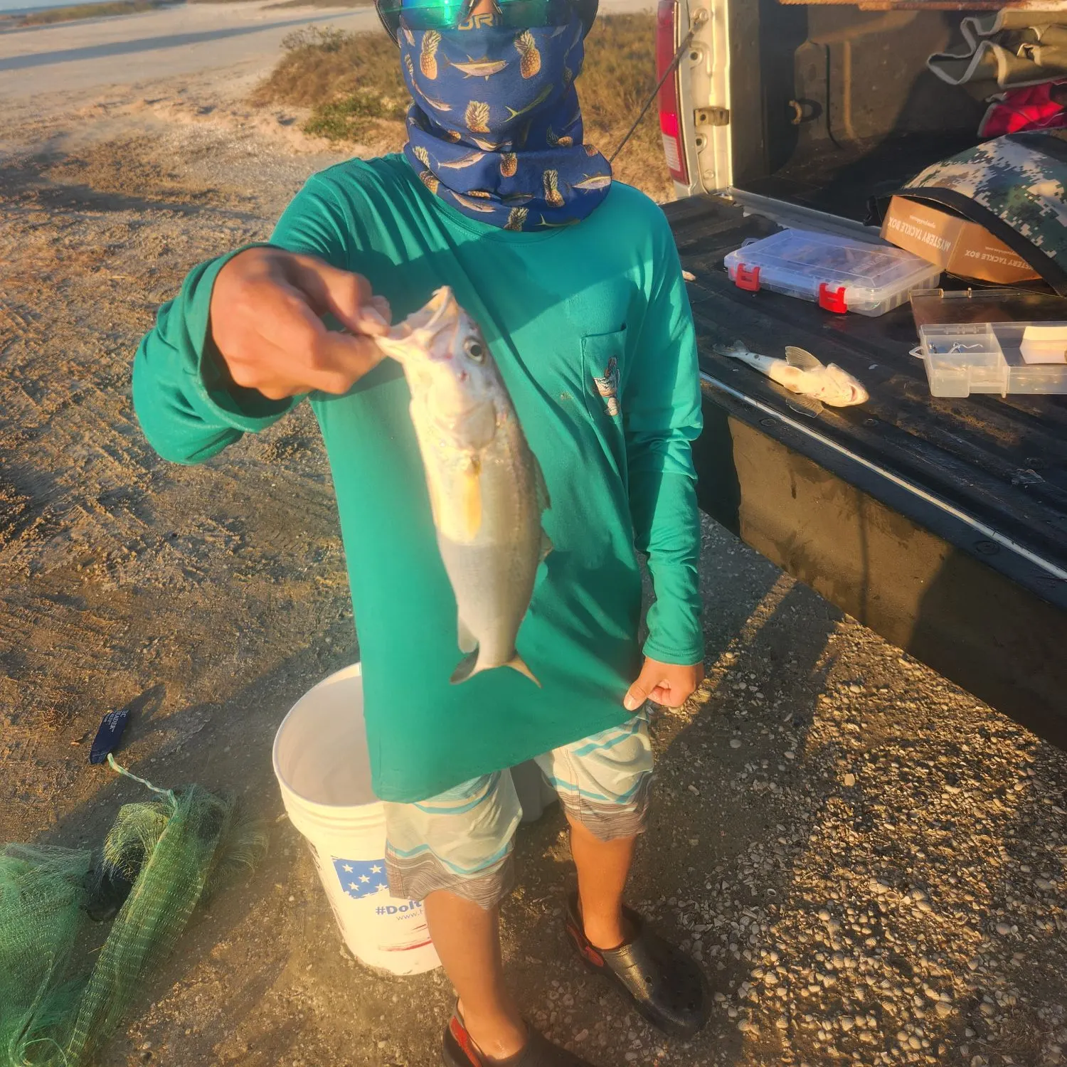 The most recent Sand seatrout catches on Fishbrain