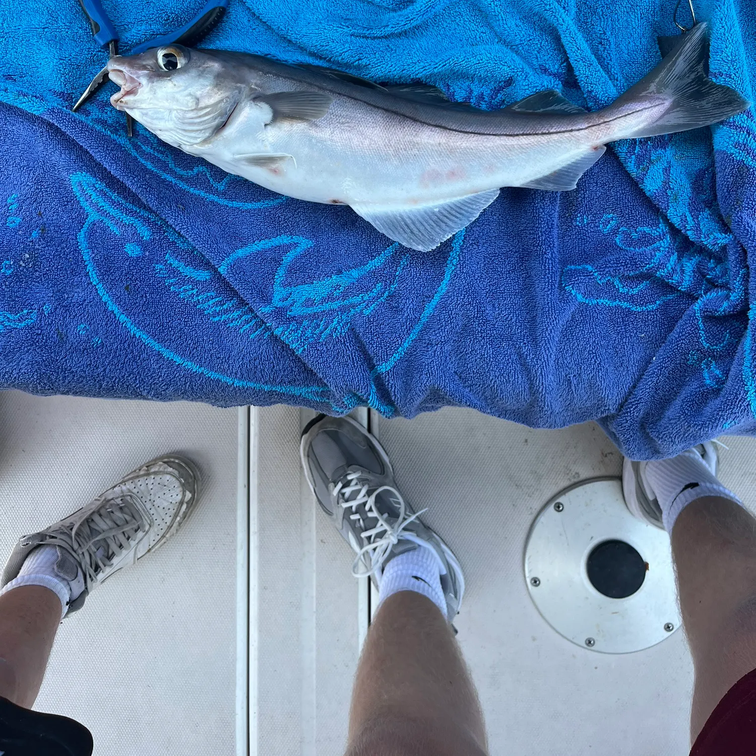 most liked catch image
