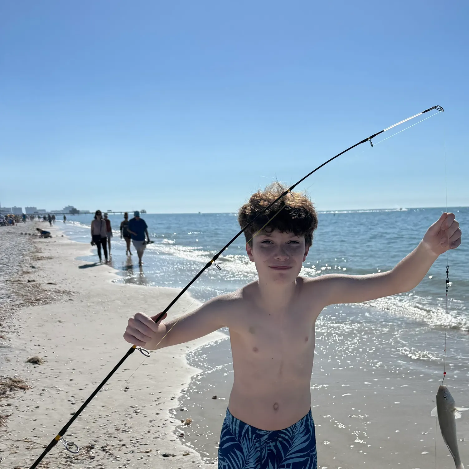 The most recent White mullet catches on Fishbrain