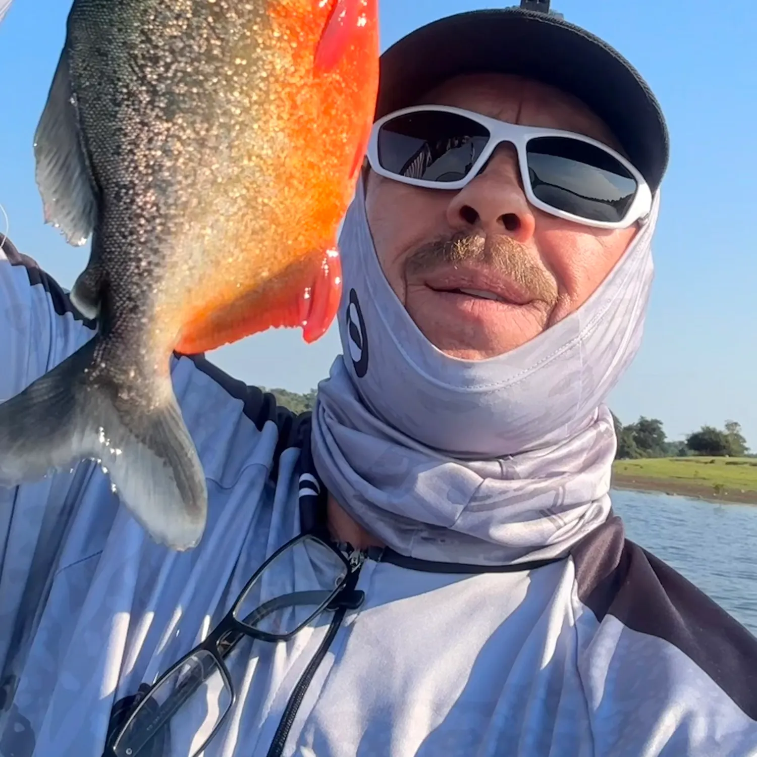 The most recent Red-bellied piranha catches on Fishbrain