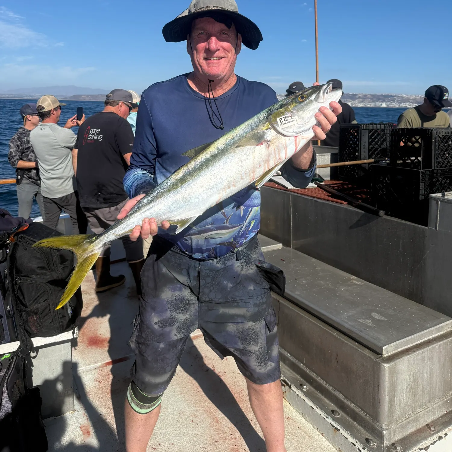 California yellowtail amberjack caught on Fishbrain