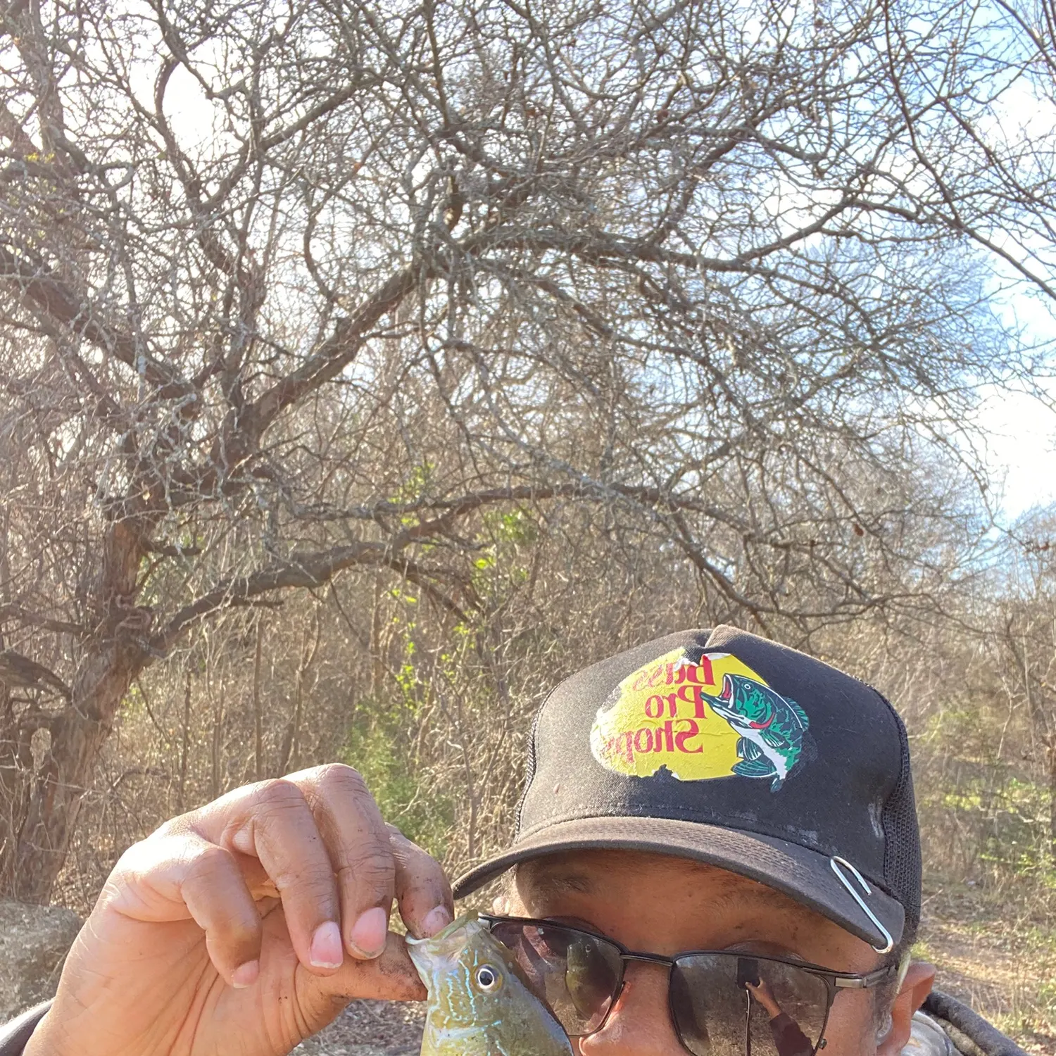 The most recent Green sunfish catches on Fishbrain
