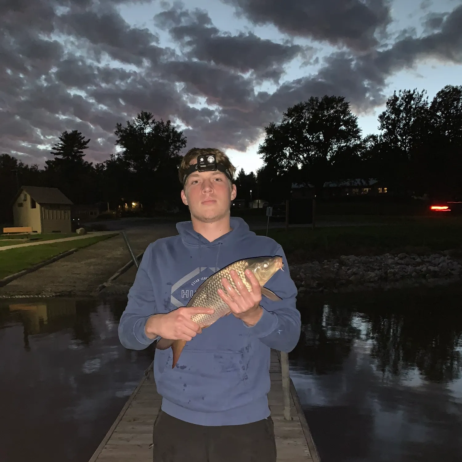Common carp caught on Fishbrain