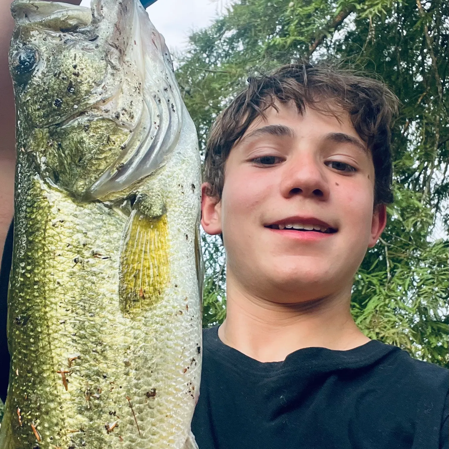 Largemouth bass caught on Fishbrain
