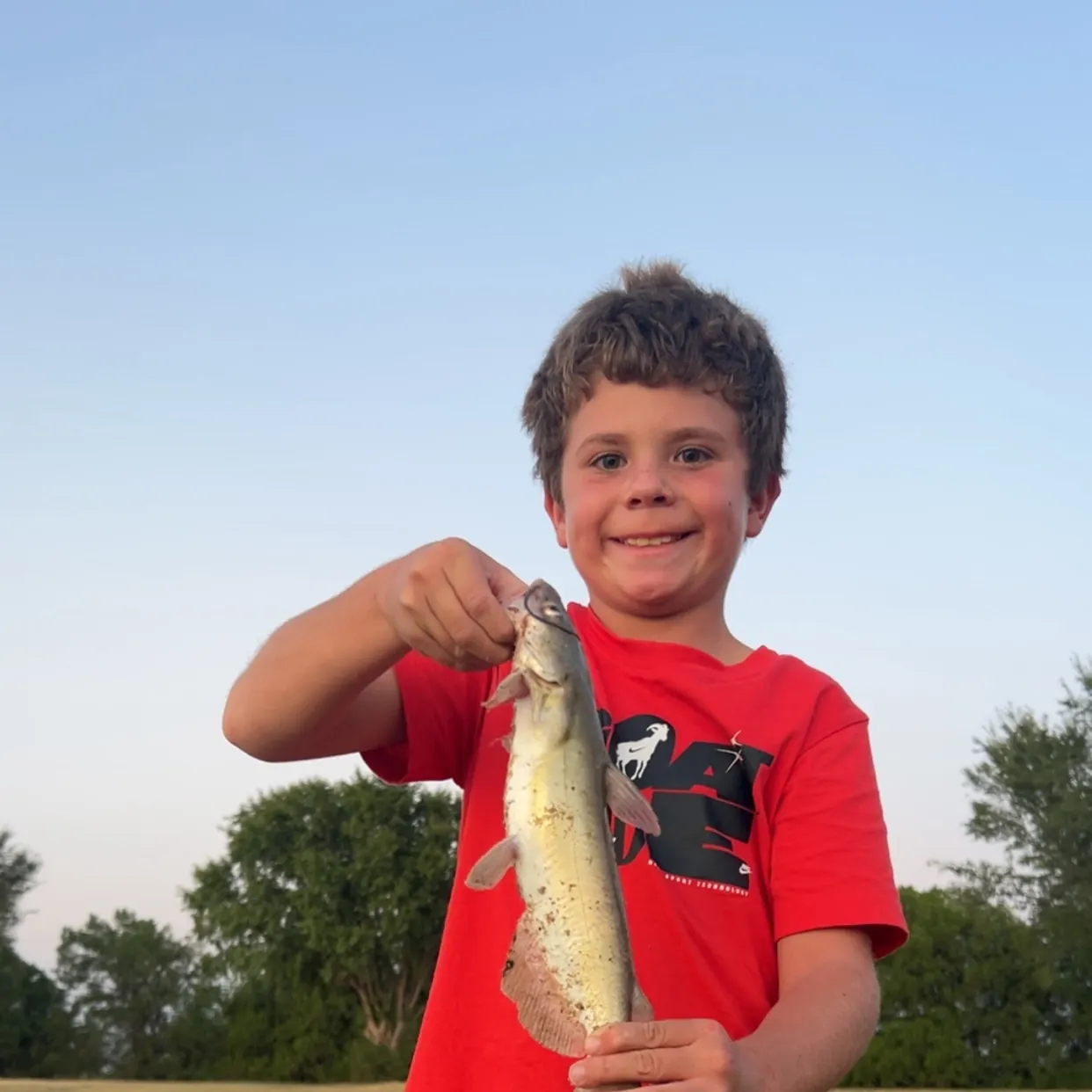 Channel catfish caught on Fishbrain