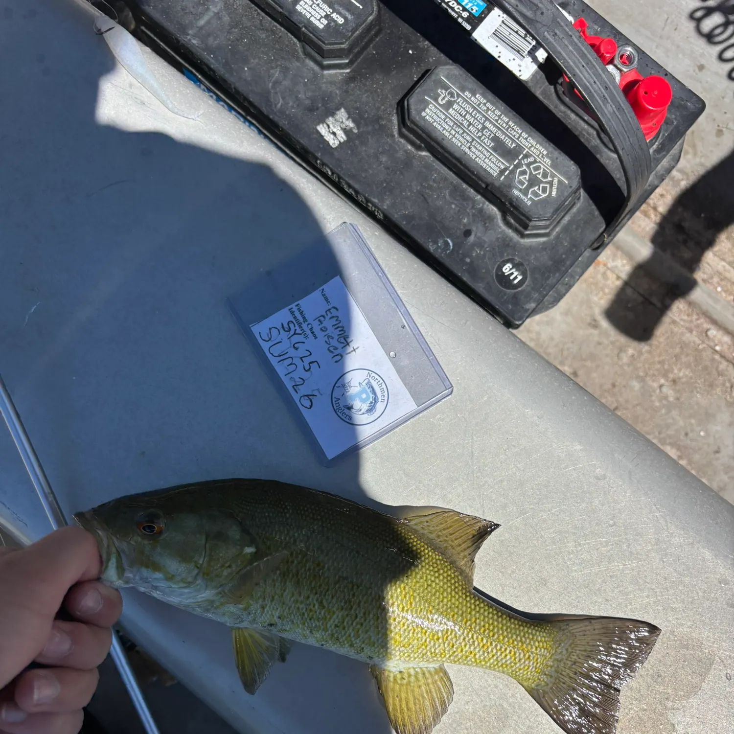 recently logged catches