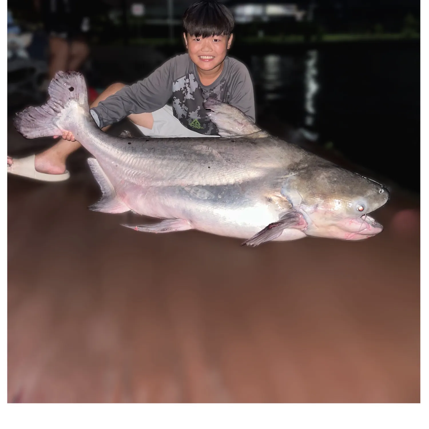 The most recent Giant pangasius catches on Fishbrain