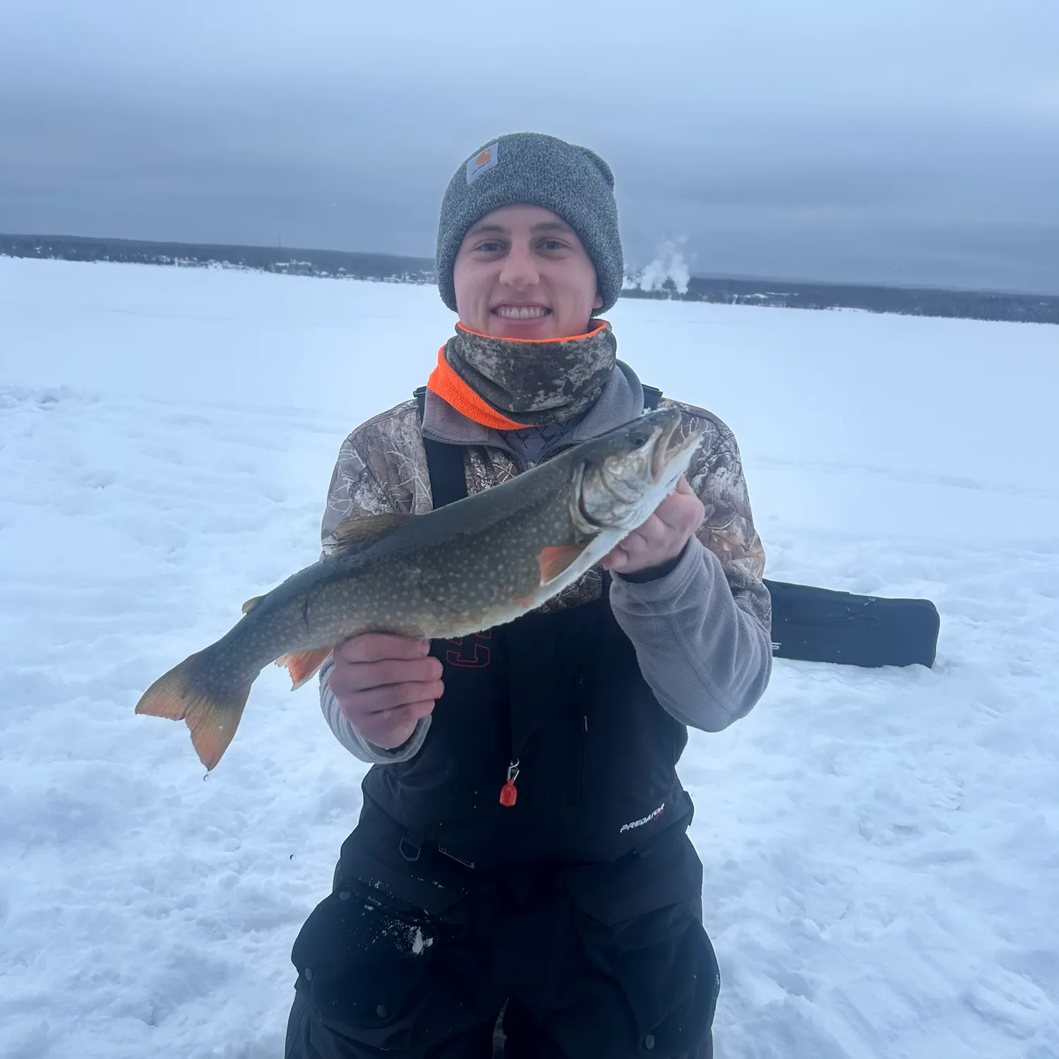 The most recent Splake catches on Fishbrain