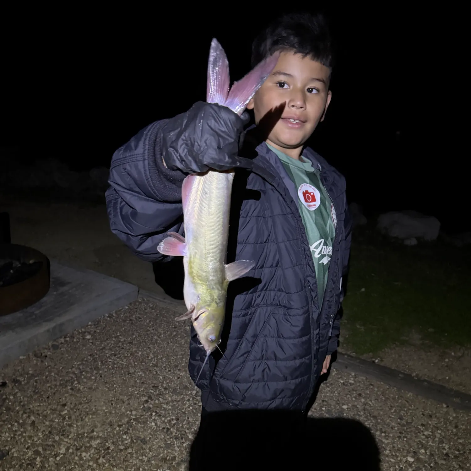 Channel catfish caught on Fishbrain