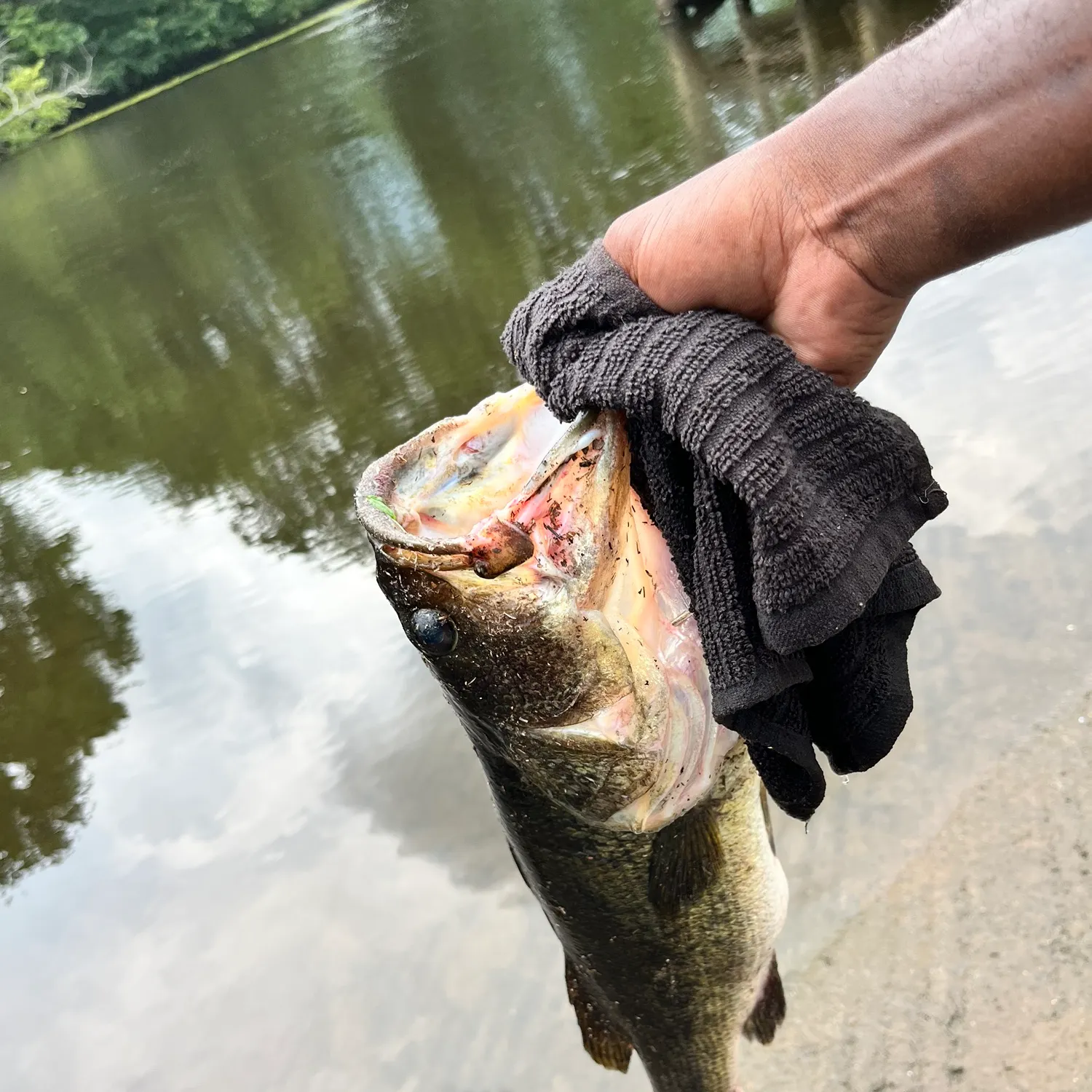 catch