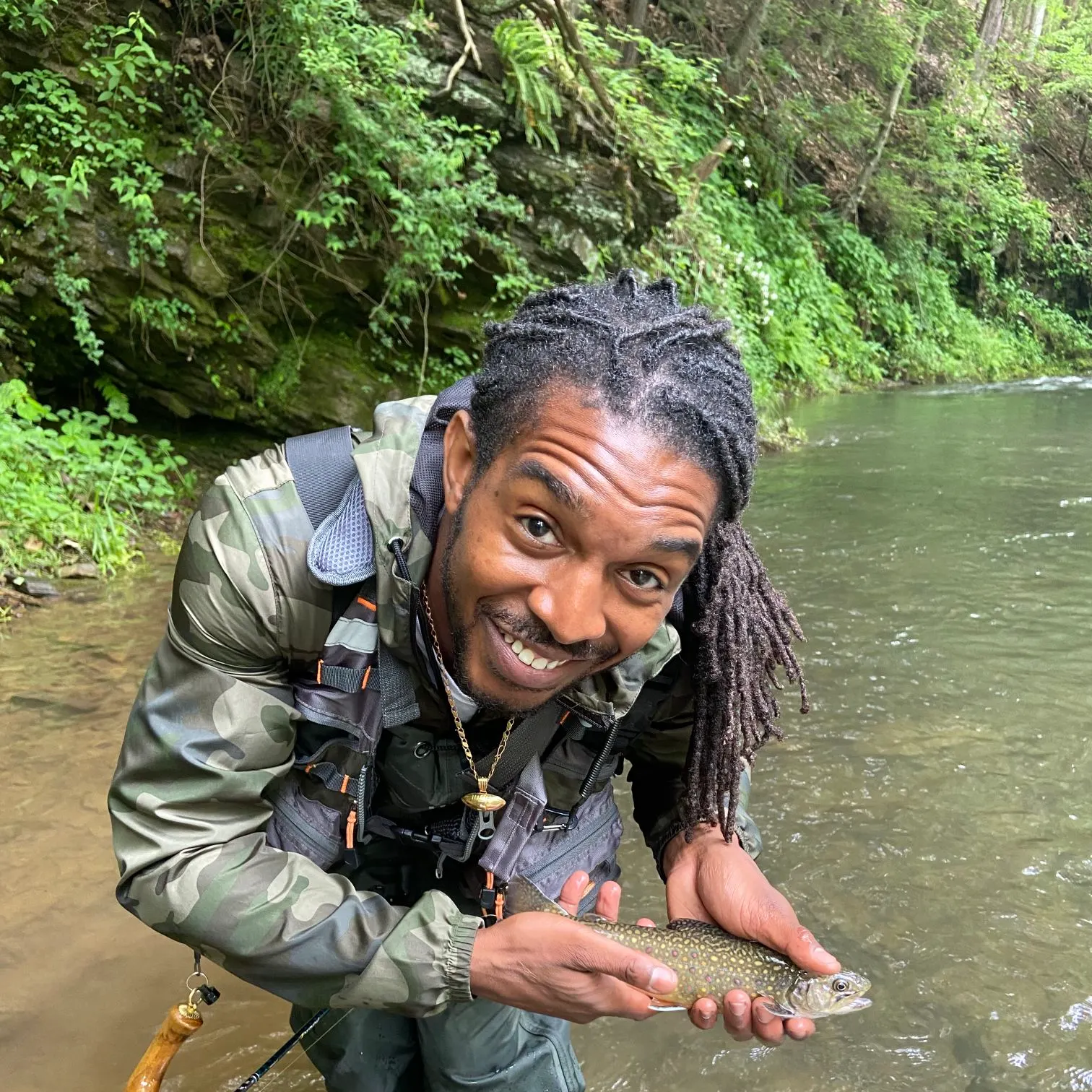 The most recent Brook trout catches on Fishbrain
