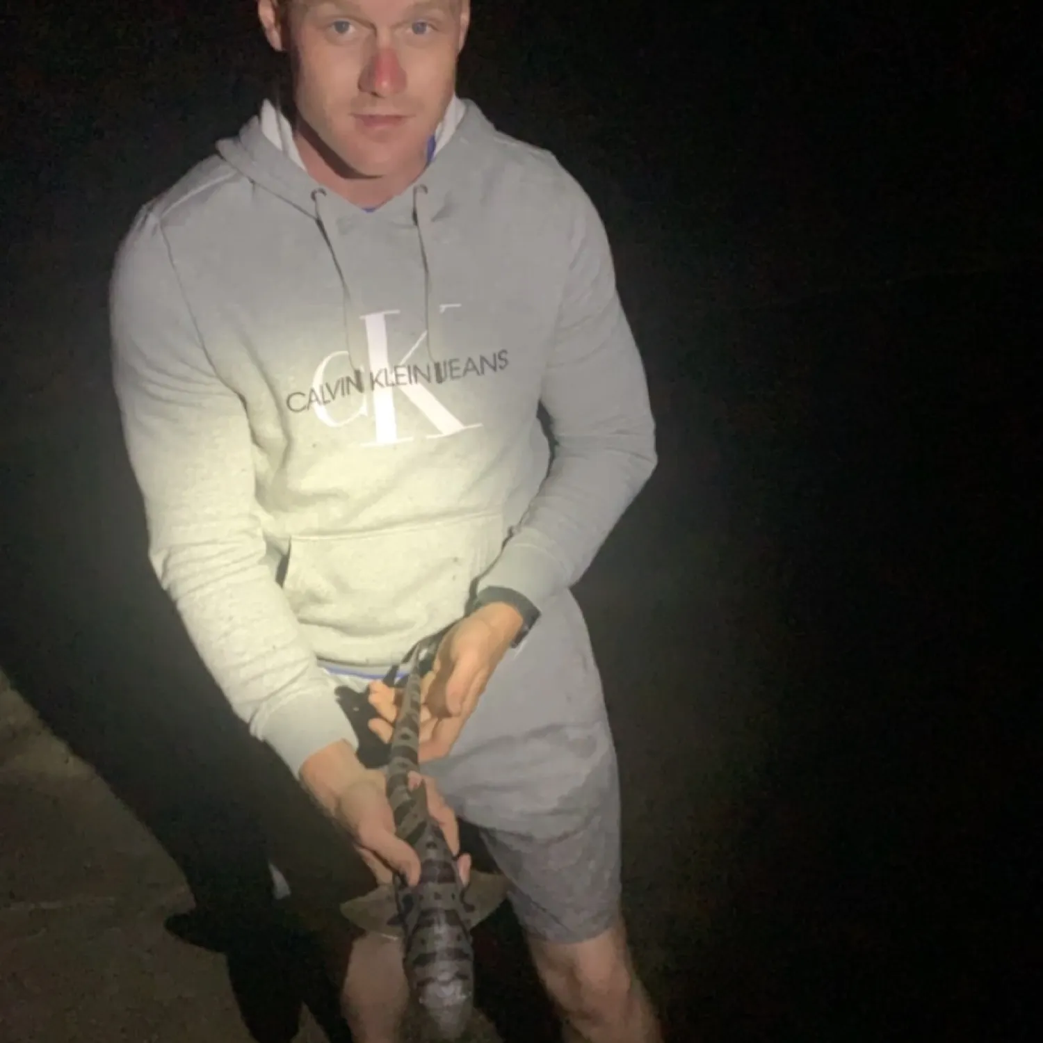 The most recent Zebra shark catches on Fishbrain