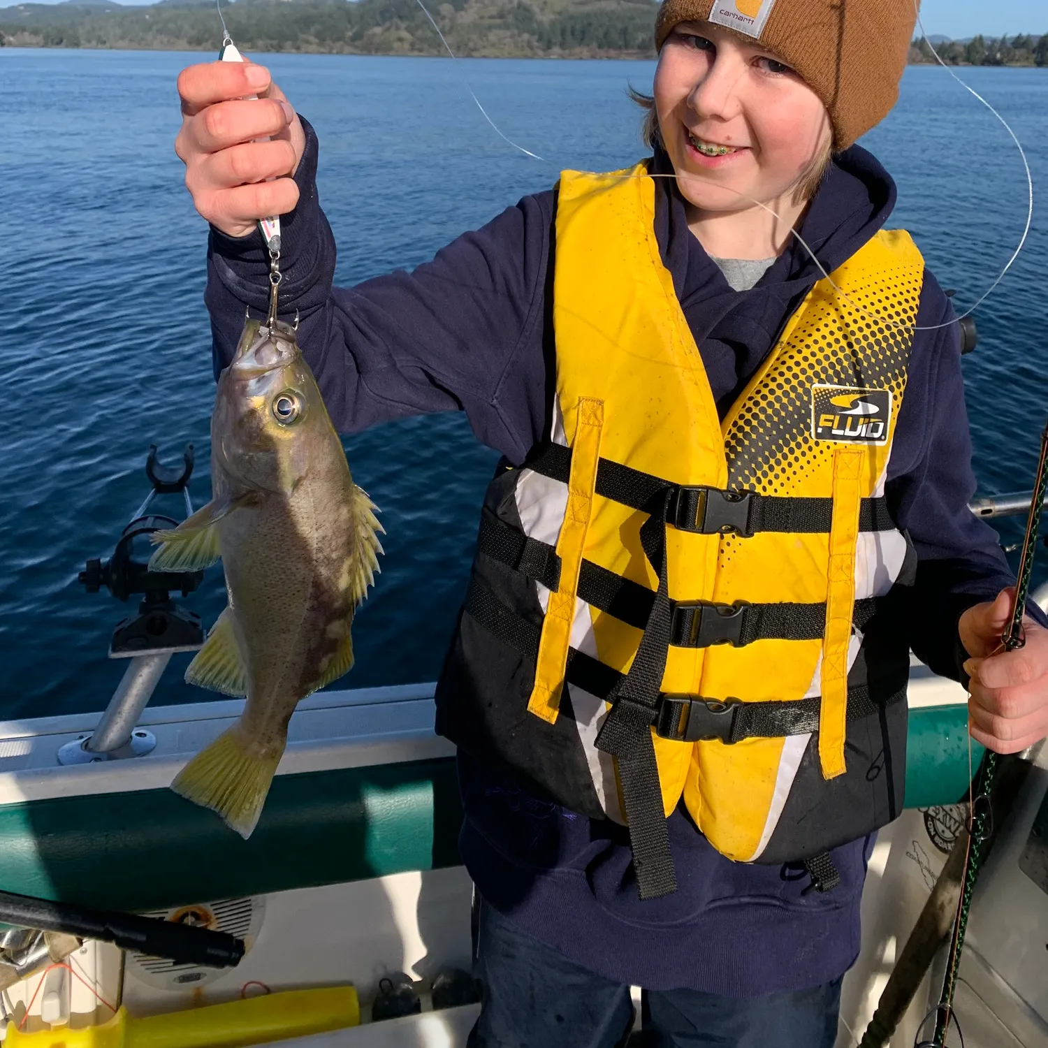The most recent Brown rockfish catches on Fishbrain
