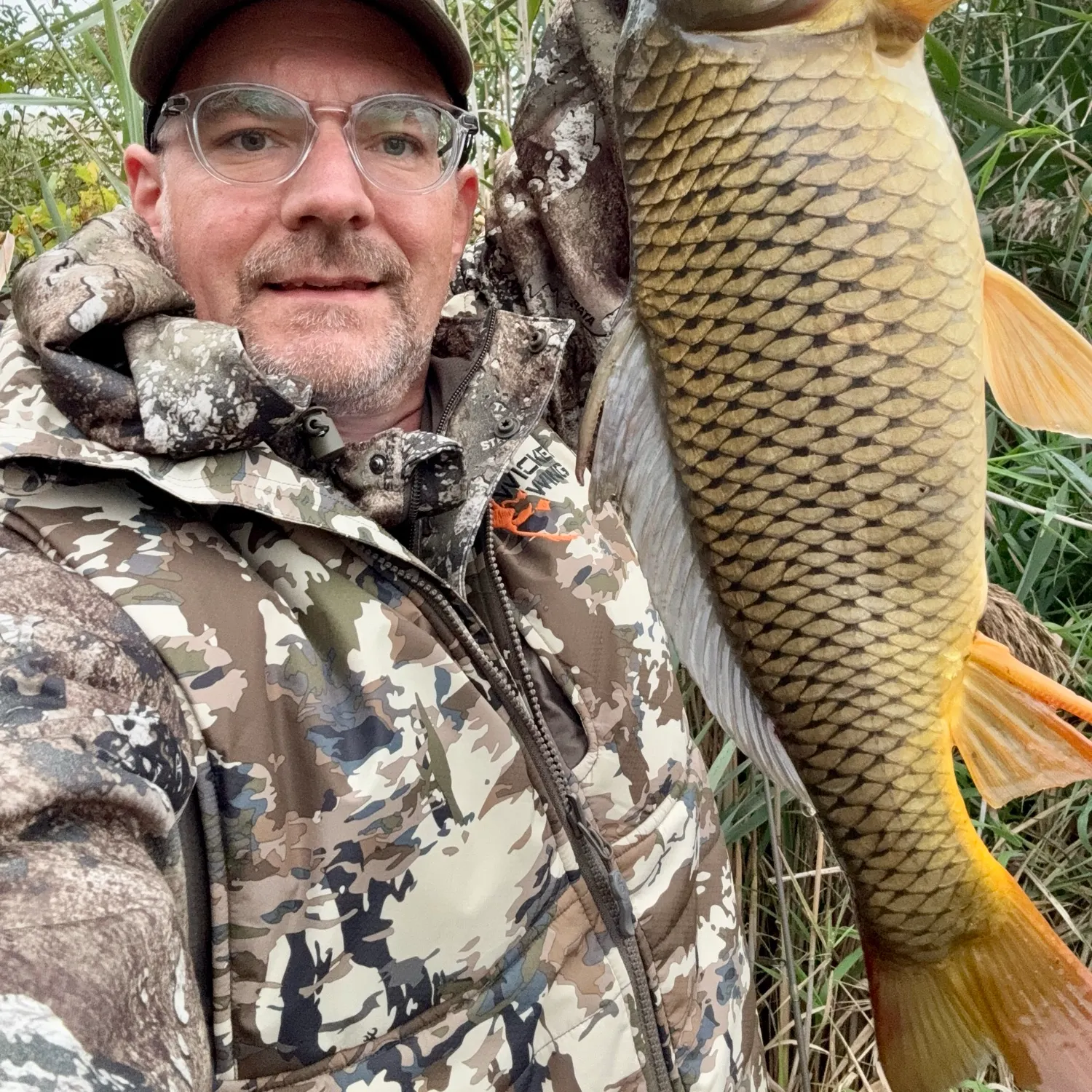 Common carp caught on Fishbrain