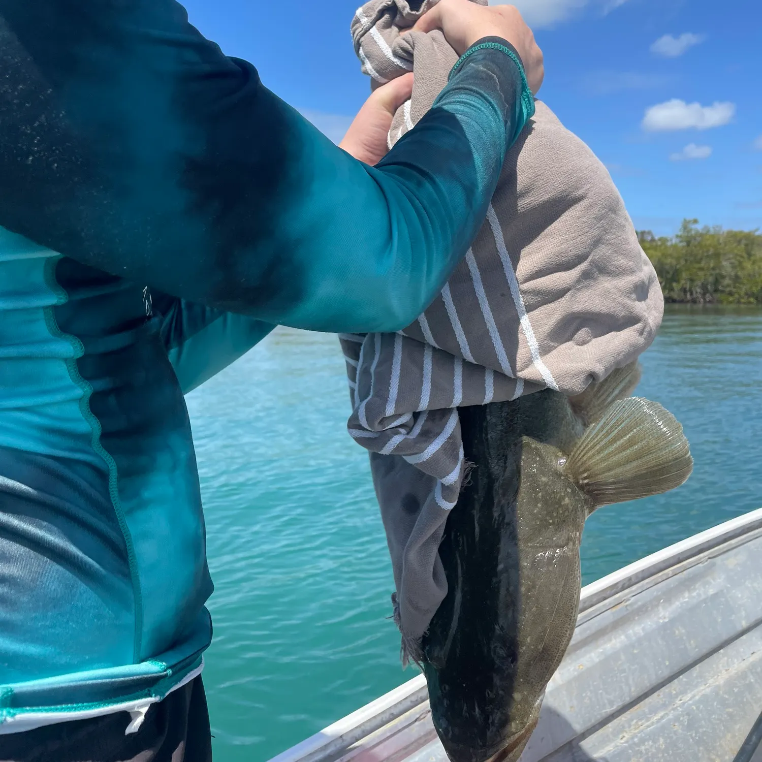 catch