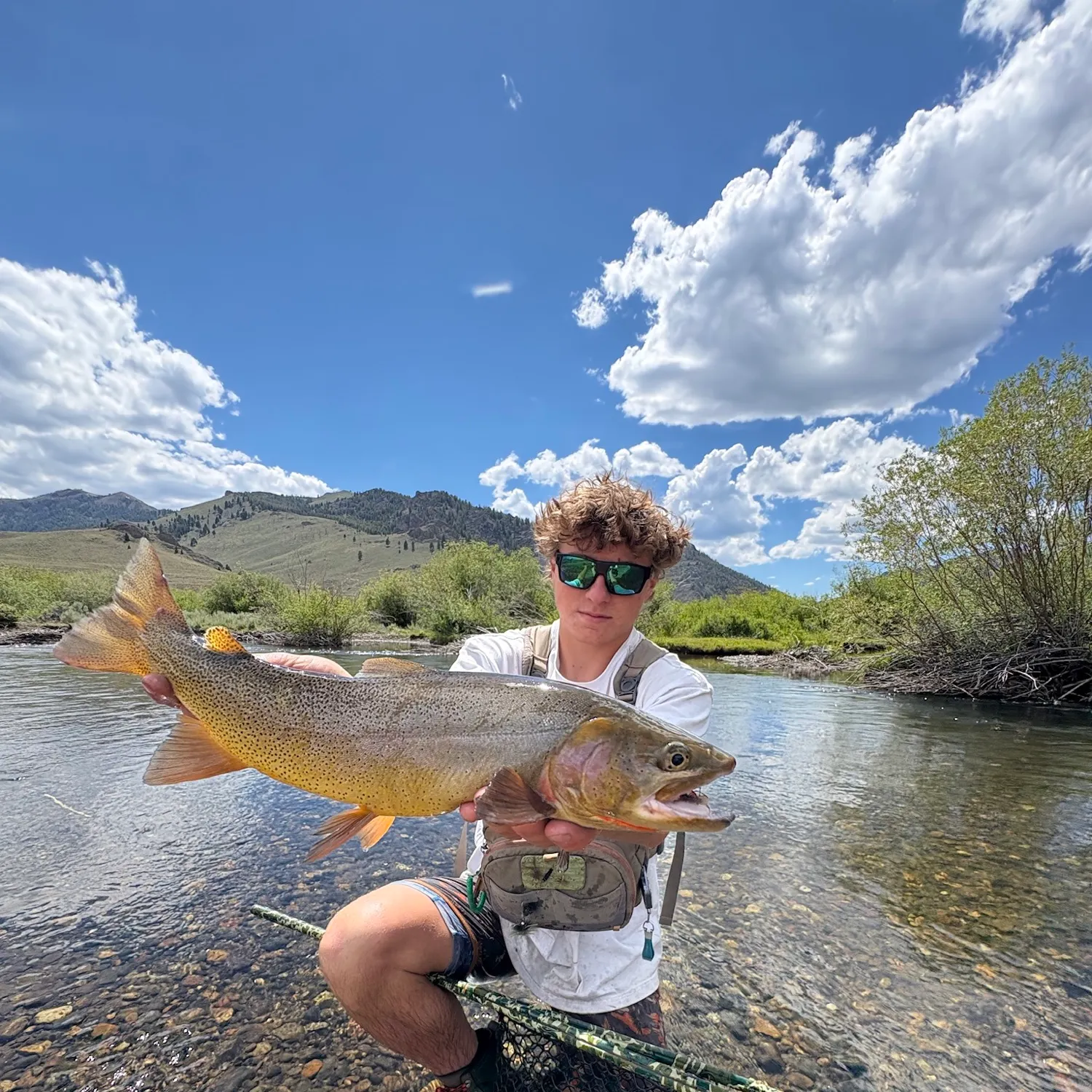 The most recent Snake River fine-spotted cutthroat trout catches on Fishbrain