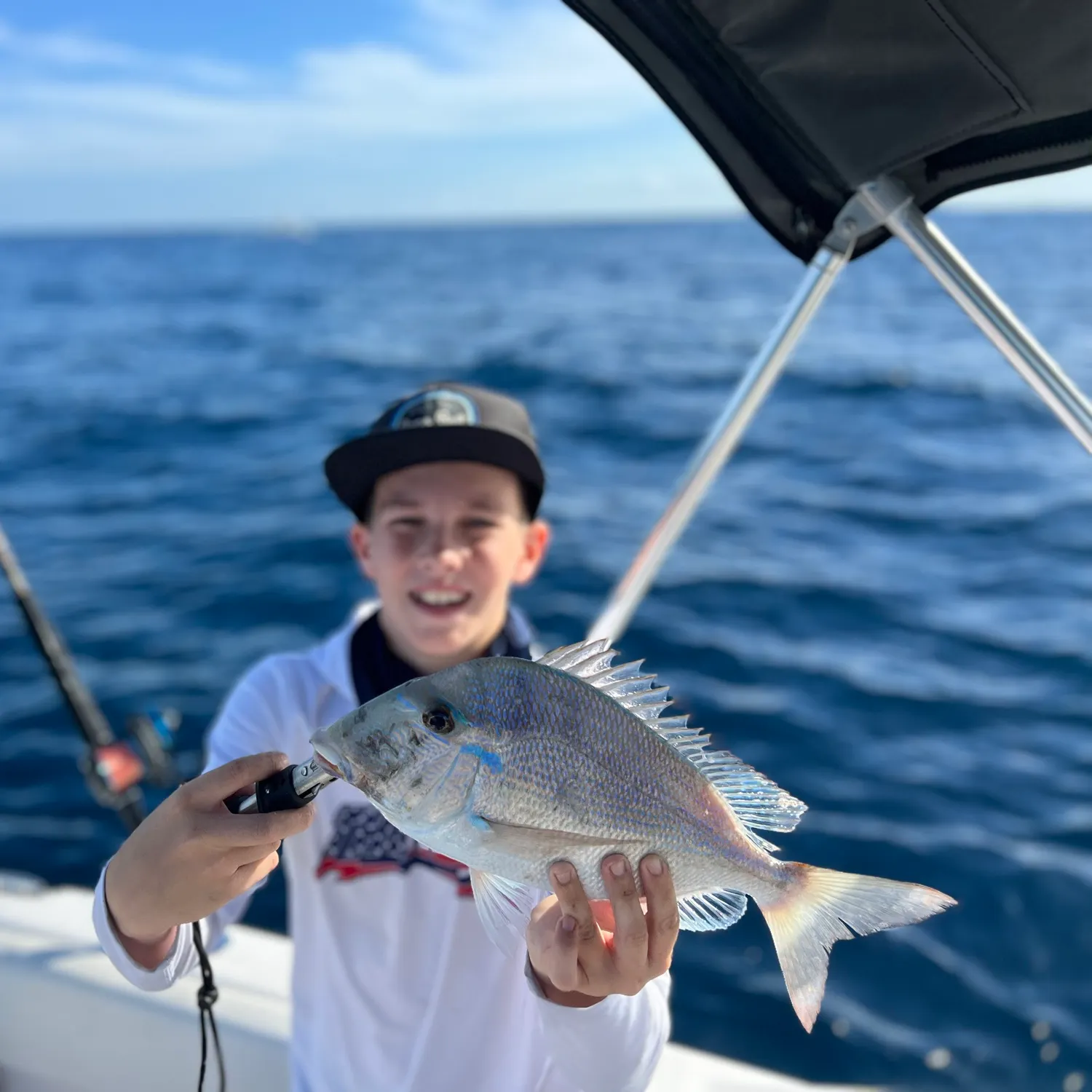The most recent Littlehead Porgy catches on Fishbrain