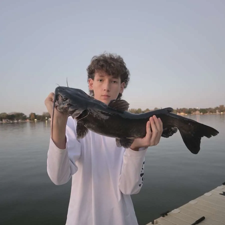 Channel catfish caught on Fishbrain