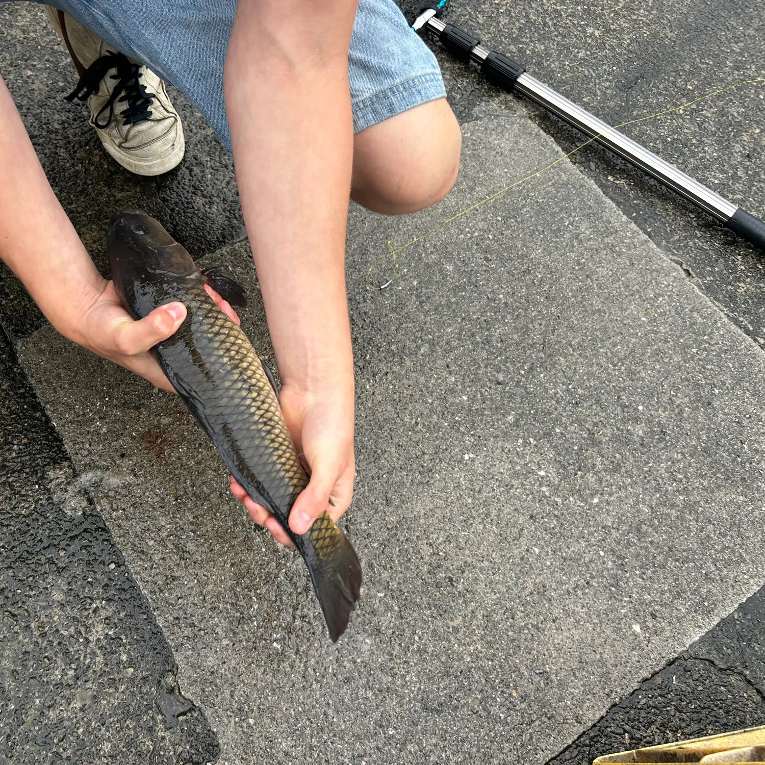catch