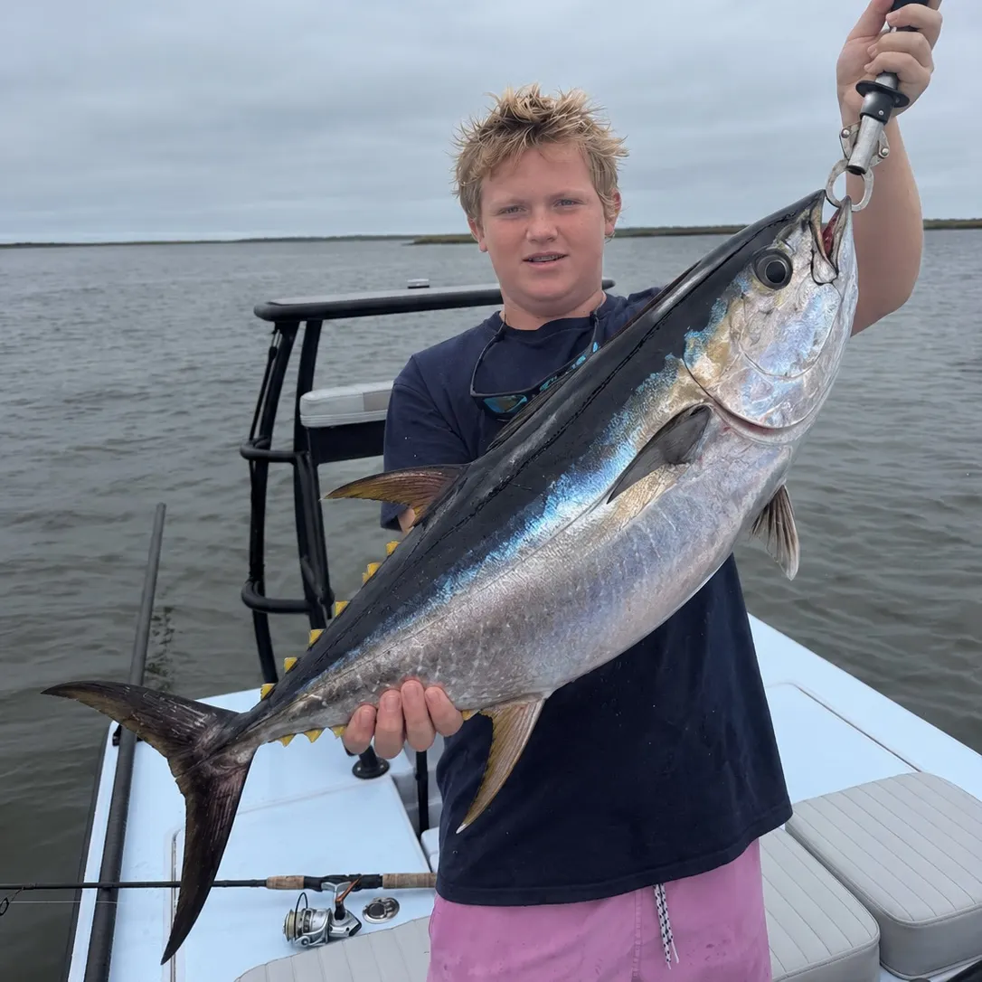 Wahoo caught on Fishbrain