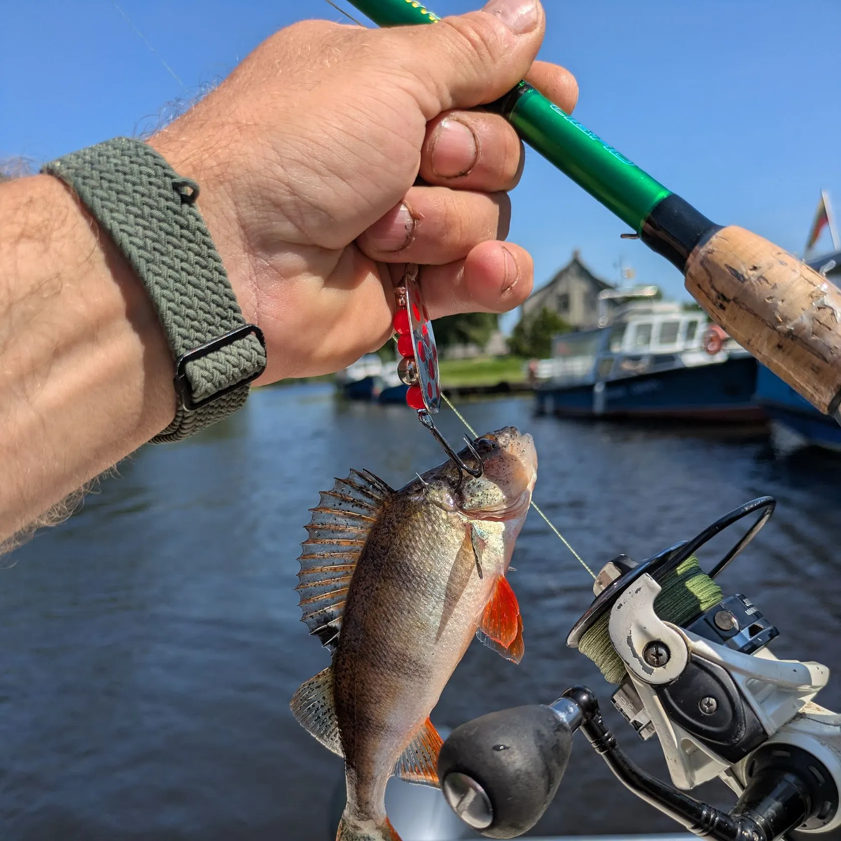 catch
