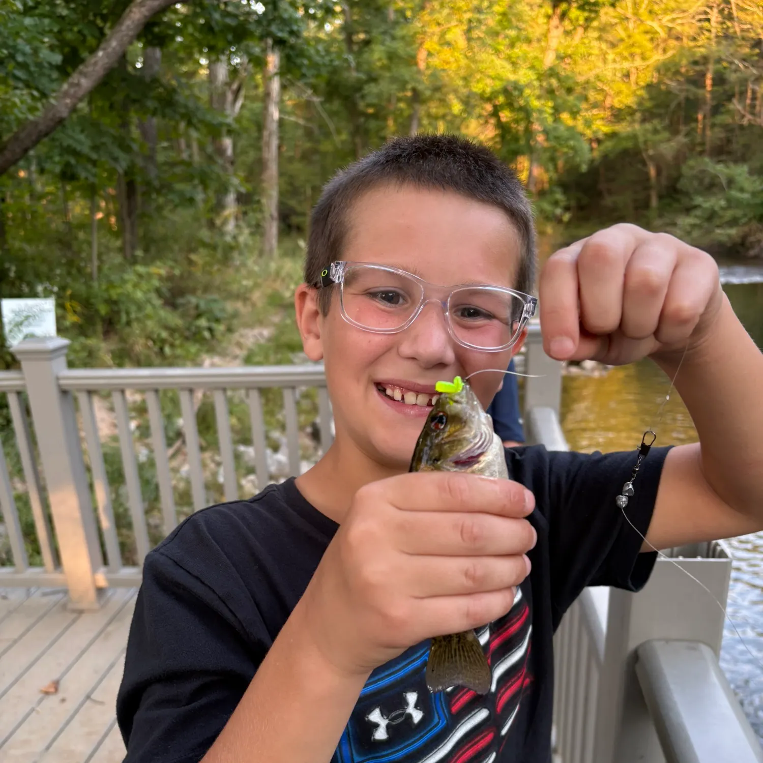 Rock bass caught on Fishbrain