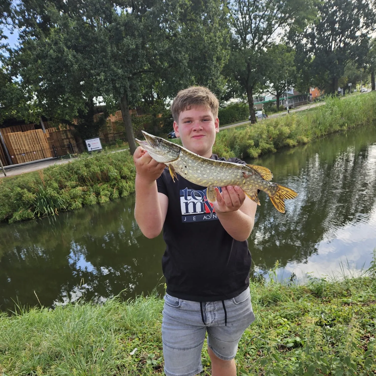 Northern pike caught on Fishbrain