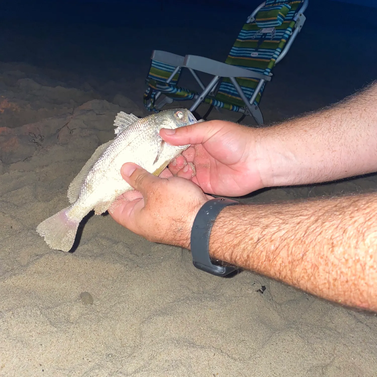 catch