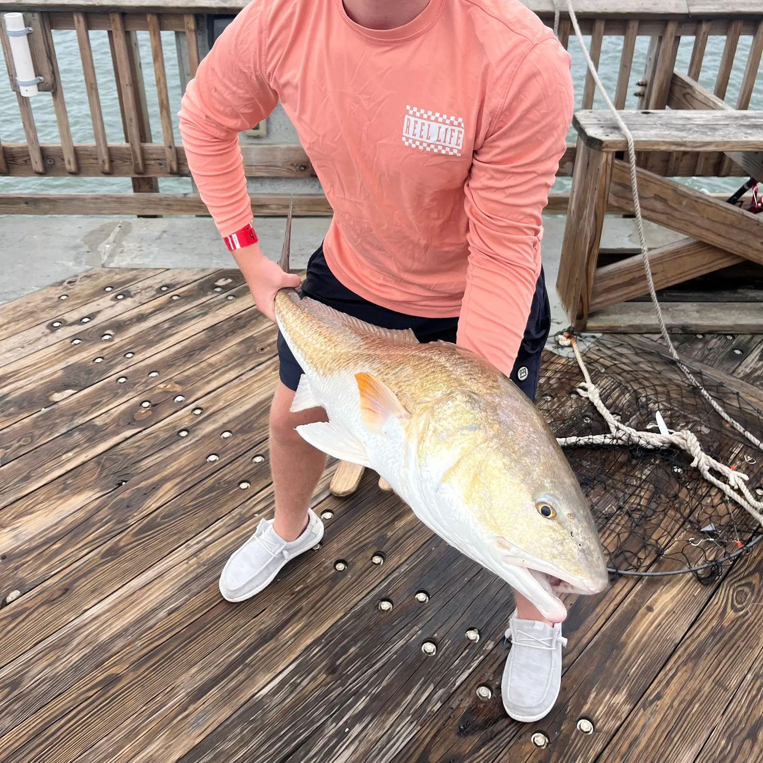Red drum caught on Fishbrain