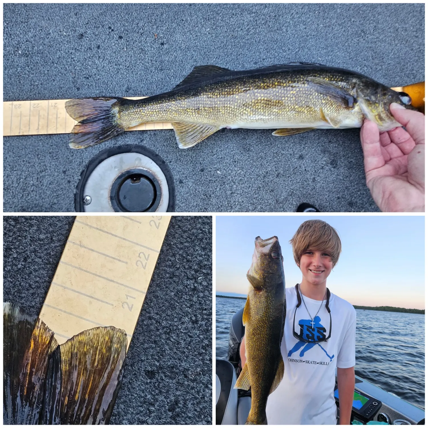 recently logged catches