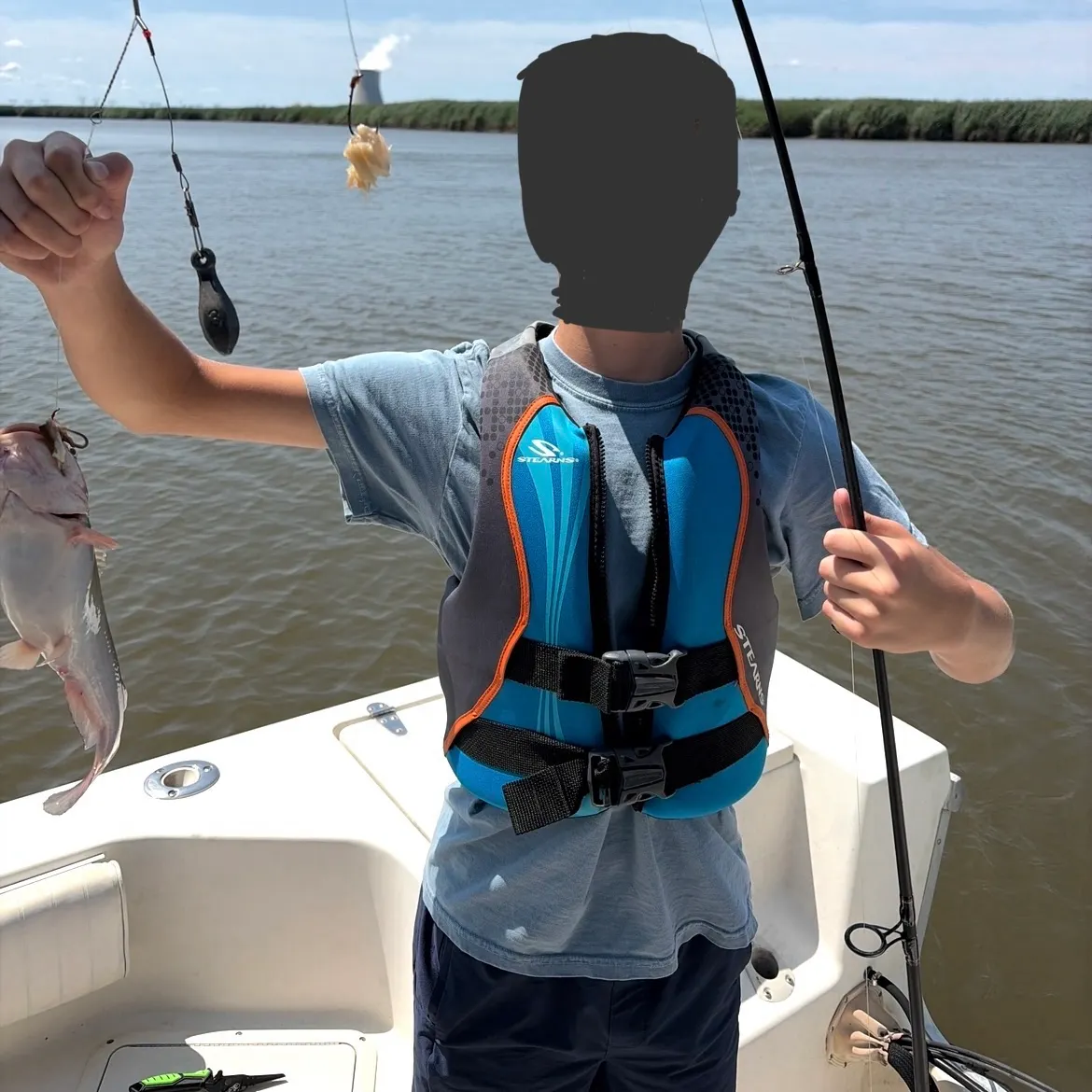 Channel catfish caught on Fishbrain