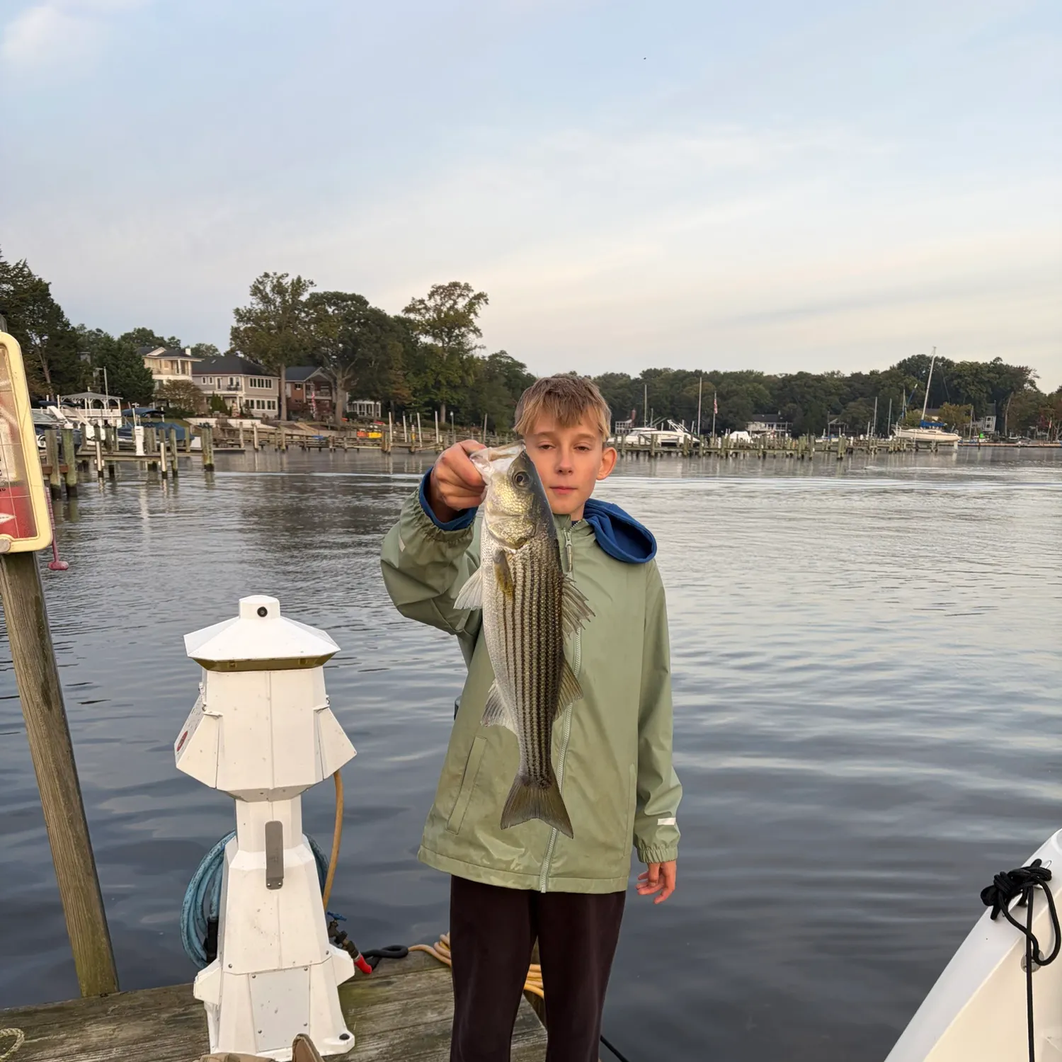 Striped bass caught on Fishbrain
