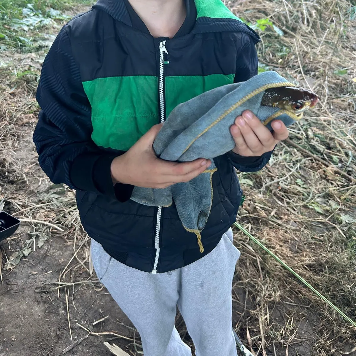 Common roach caught on Fishbrain