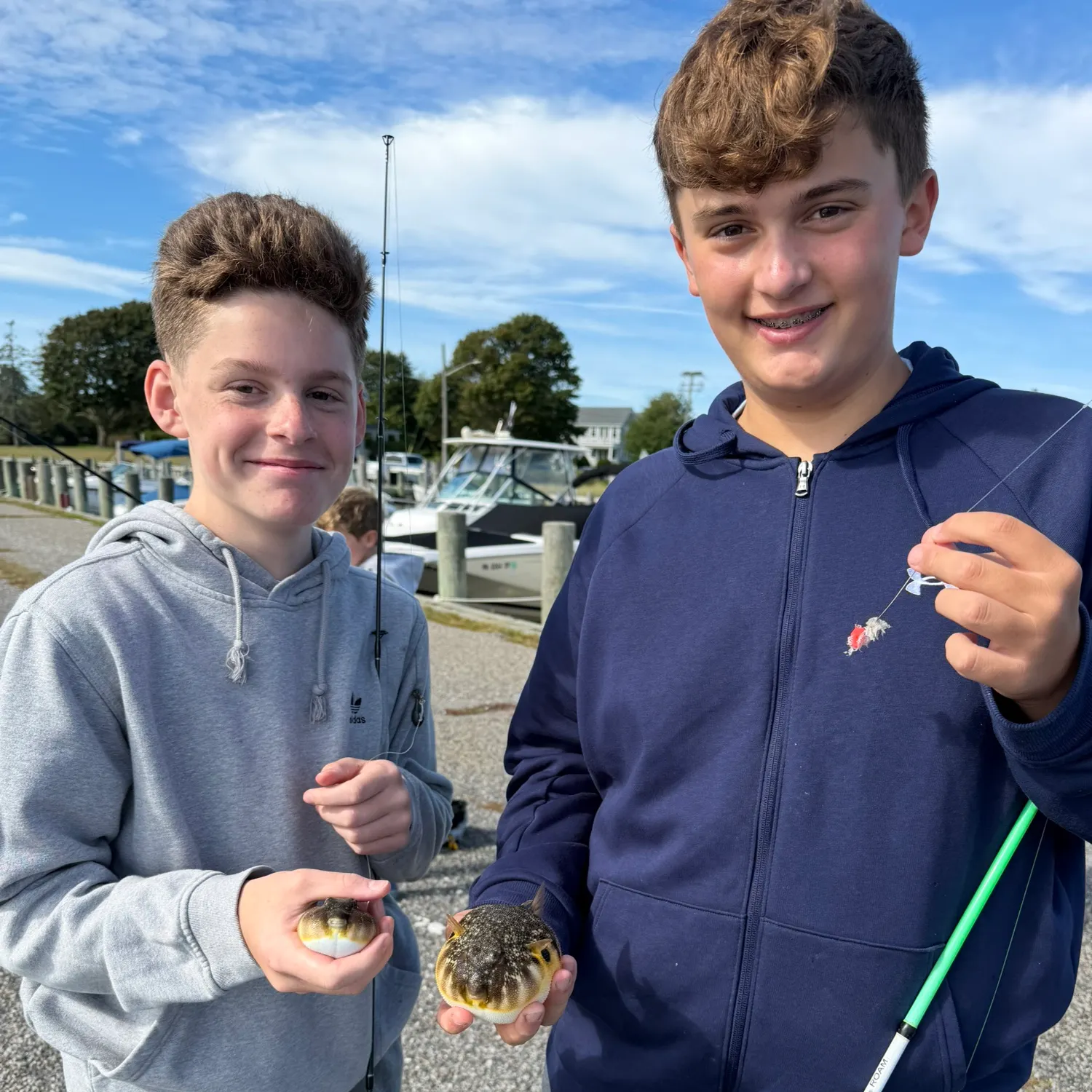 Northern puffer caught on Fishbrain