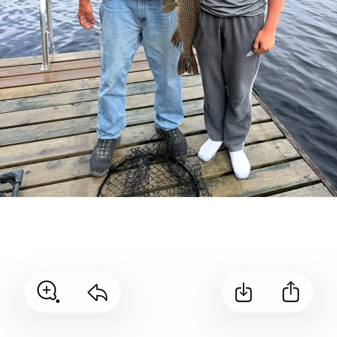 The most recent Northern pike catches on Fishbrain