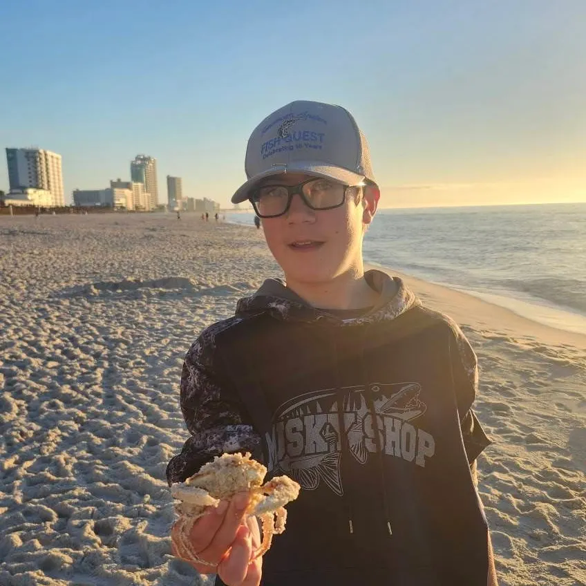 The most recent Atlantic rock crab catches on Fishbrain