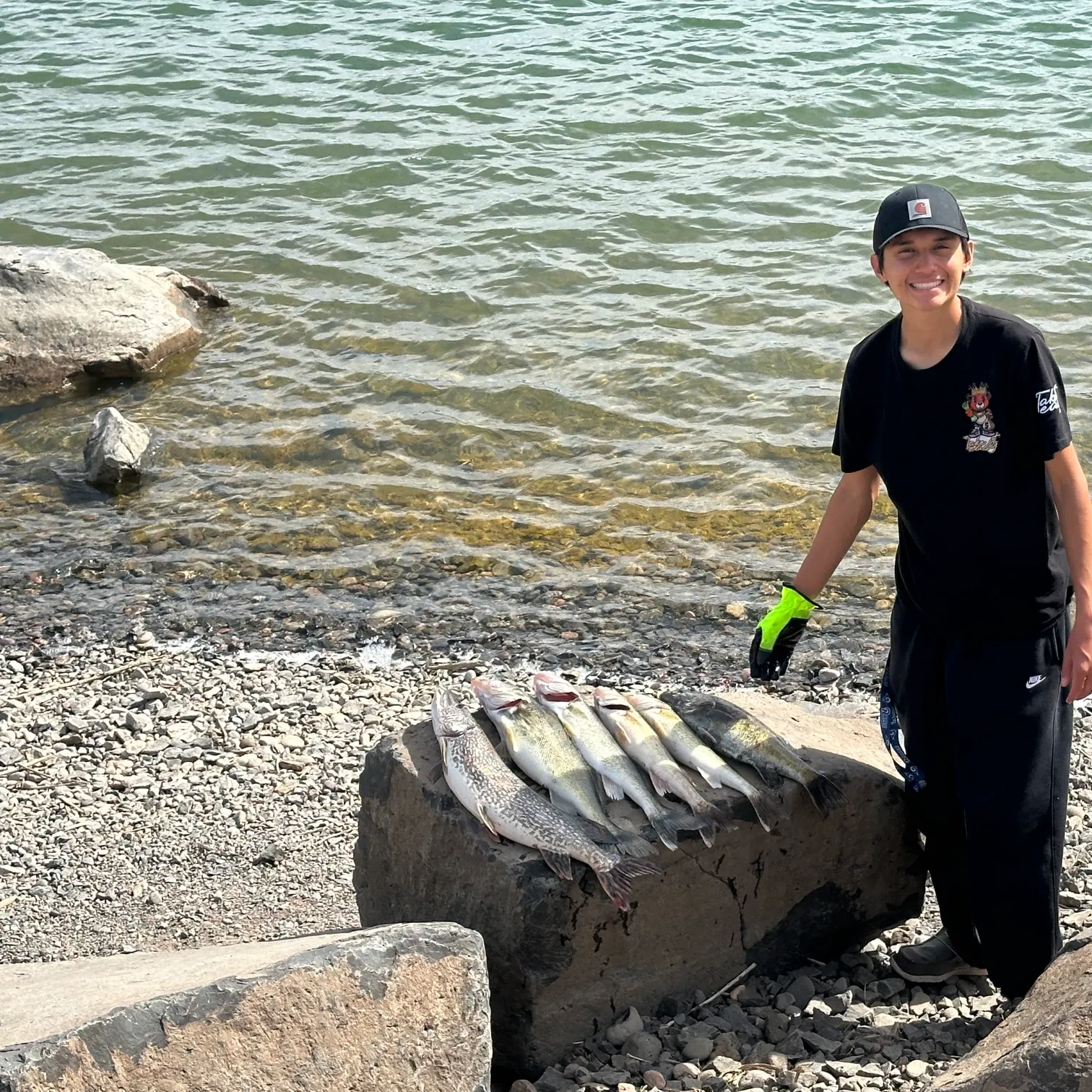 recently logged catches