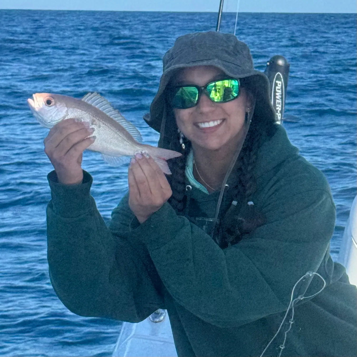 The most recent Vermilion snapper catches on Fishbrain